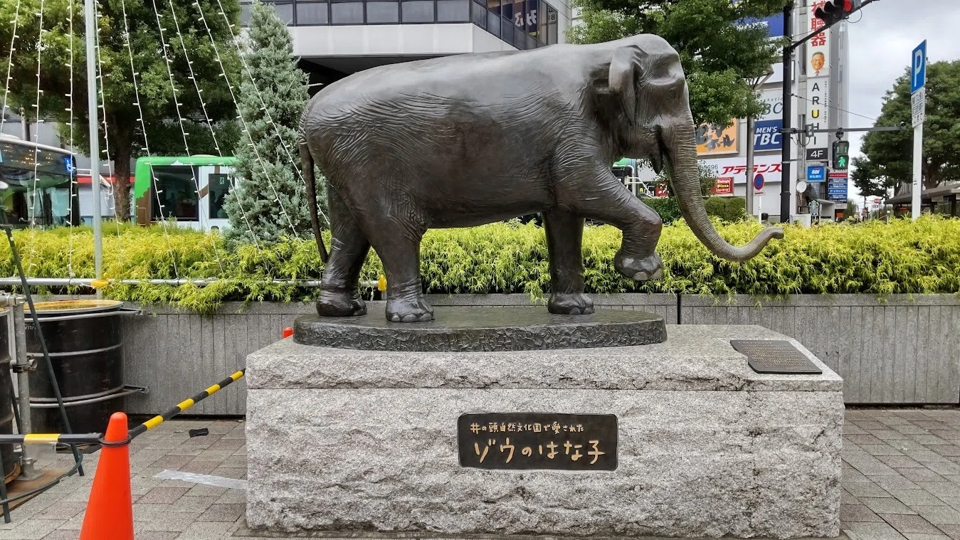 象 の 花子