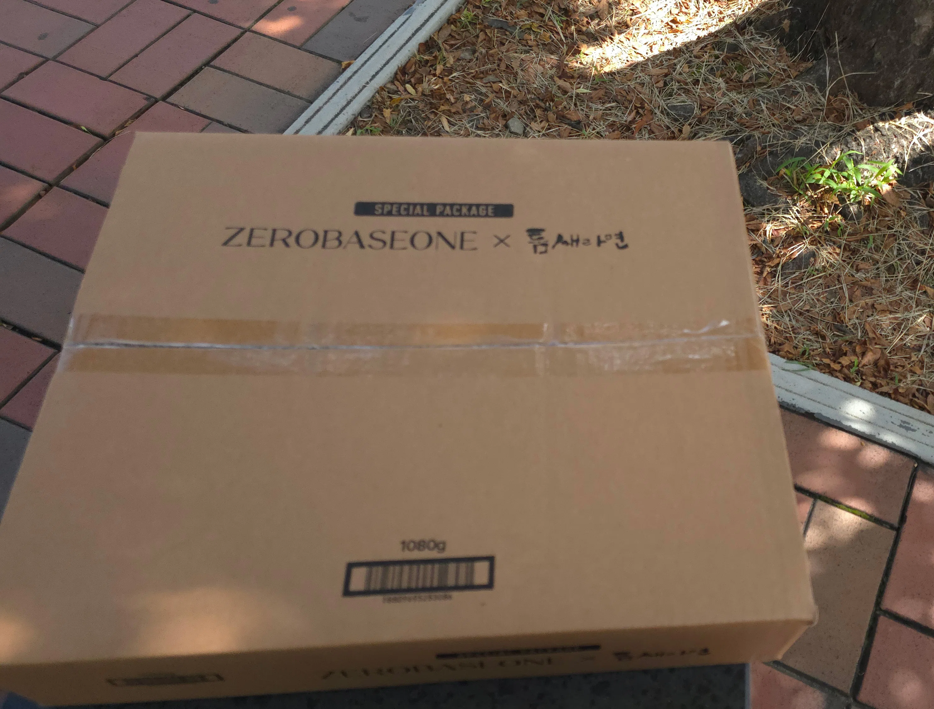 2024 ZEROBASEONE THE FIRST TOUR [TIMELESS WORLD] IN SEOUL～初日編