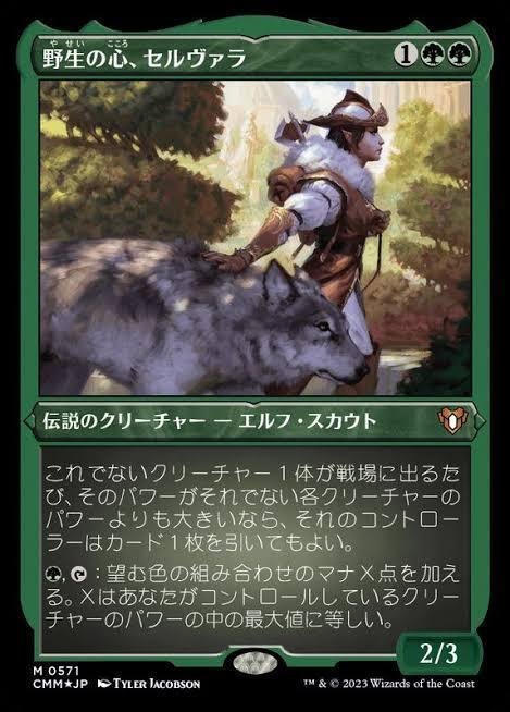 MTG【野生の心、セルヴァラ】統率者デッキ100枚＋調整パーツ MTG【野生の心、セルヴァラ】統率者デッキ100枚＋調整パーツ