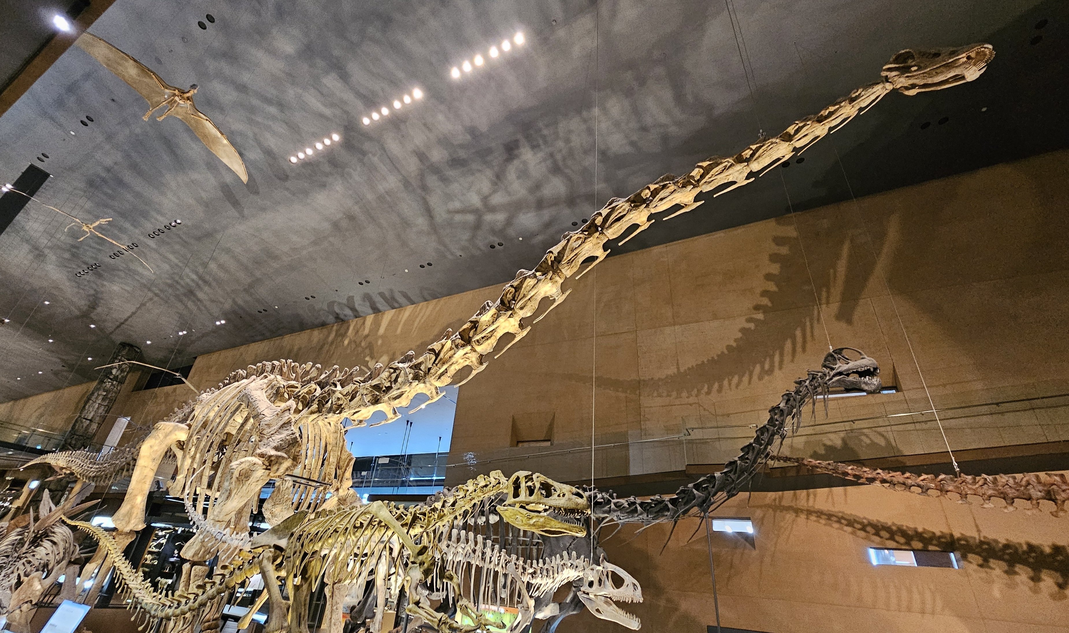 The Lost Universe 巨大竜脚類恐竜③巨大ディプロドクス類｜美原さつき