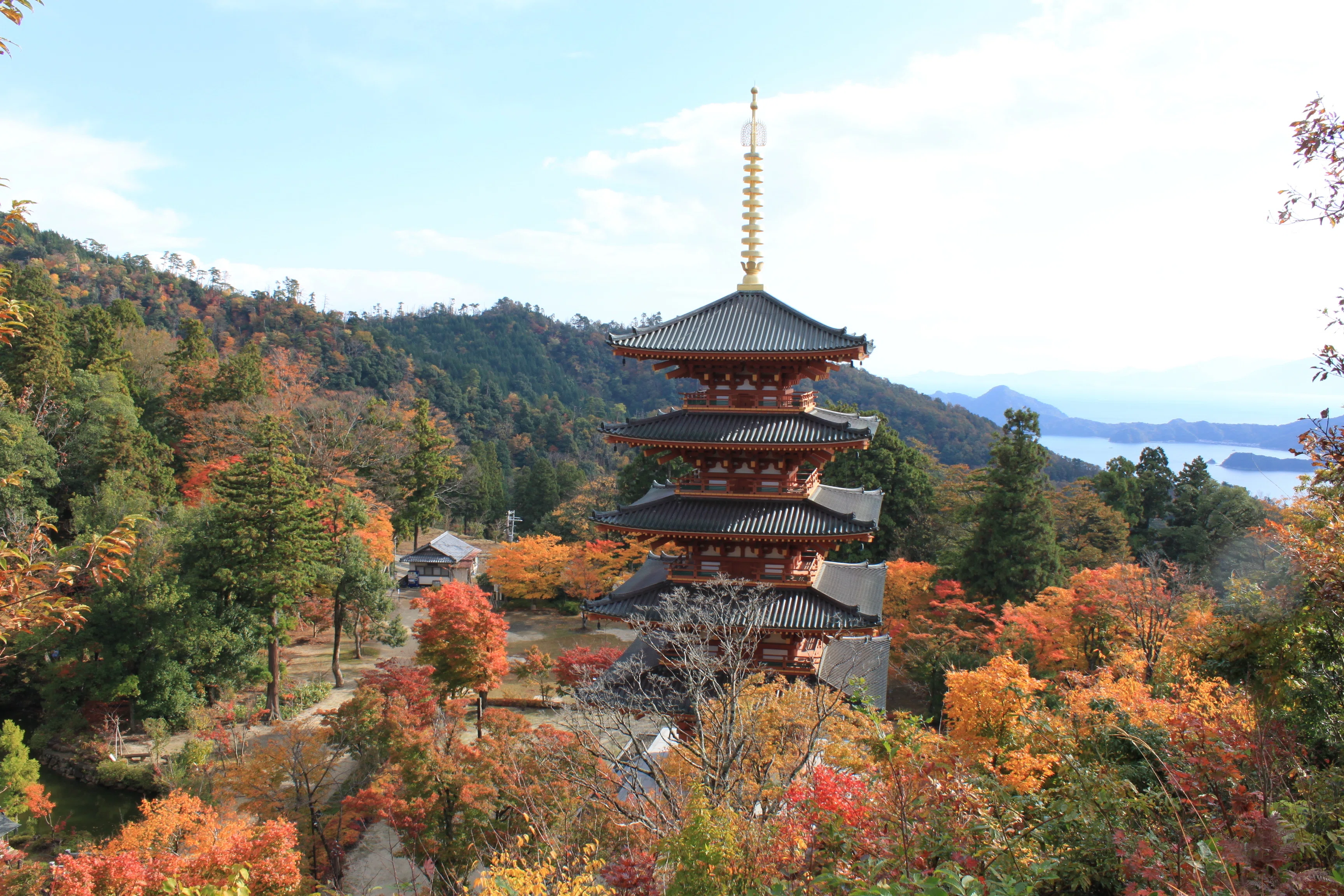 値下げしました【ヴィンテージ】一点物紅葉と孔雀の羽掛け時計