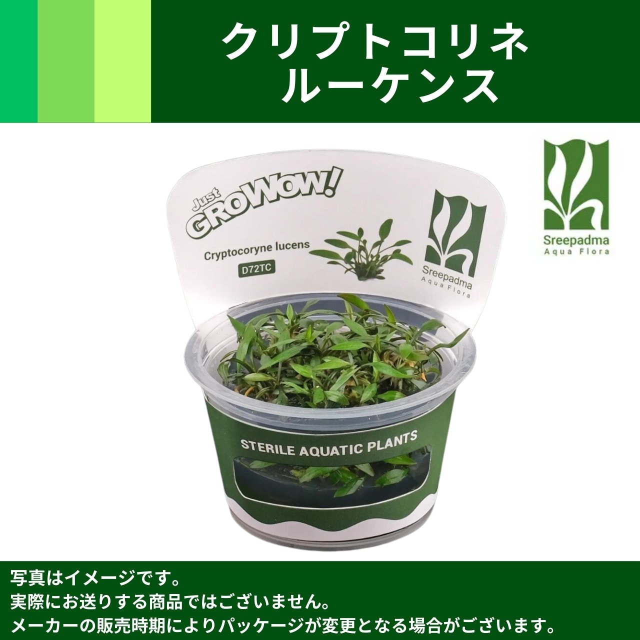 水草 MIZ 水草 - グラスゲート (Page 1)