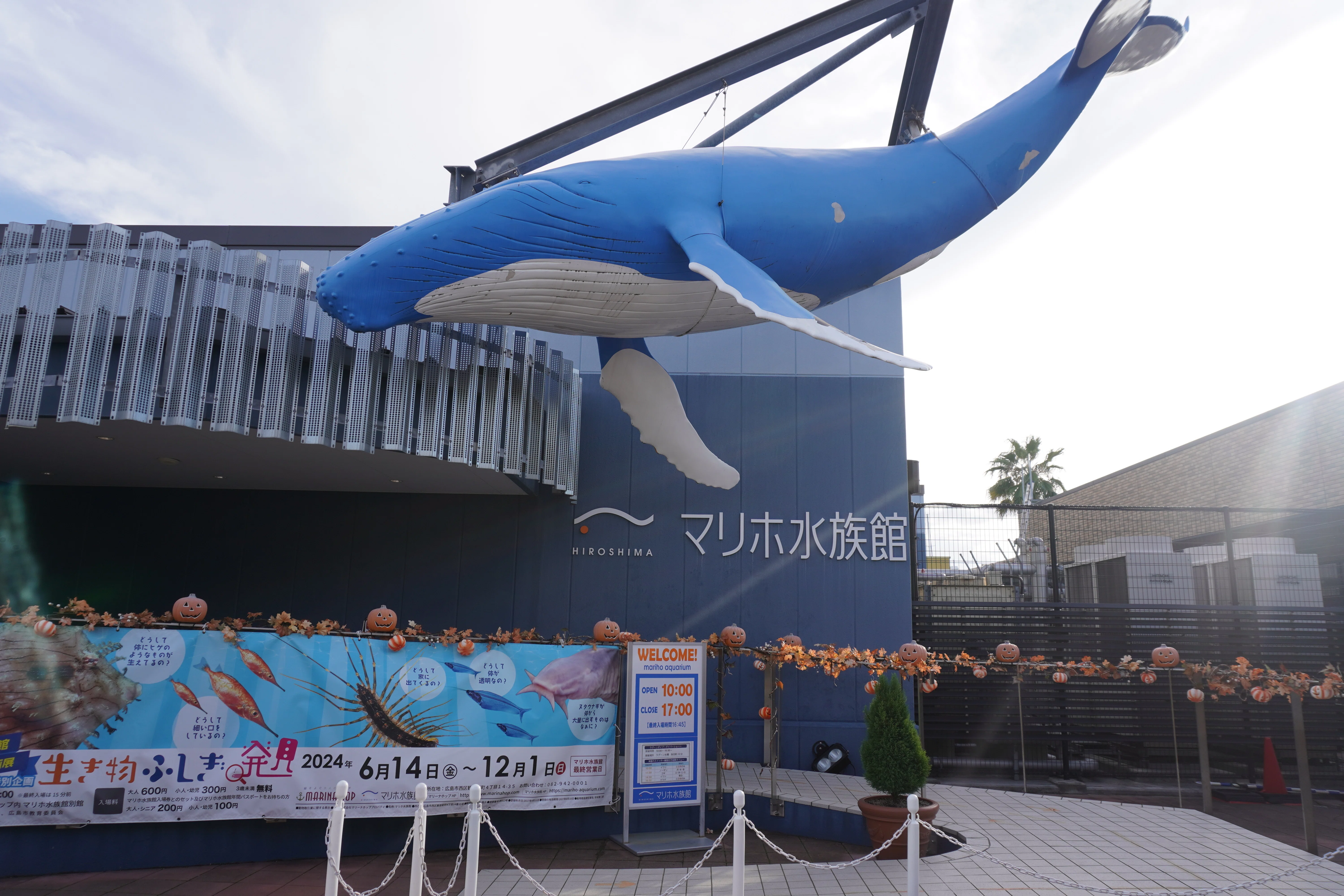 ZASO:232】＜閉園＞広島県 #マリホ水族館｜ZASOちゃんねる