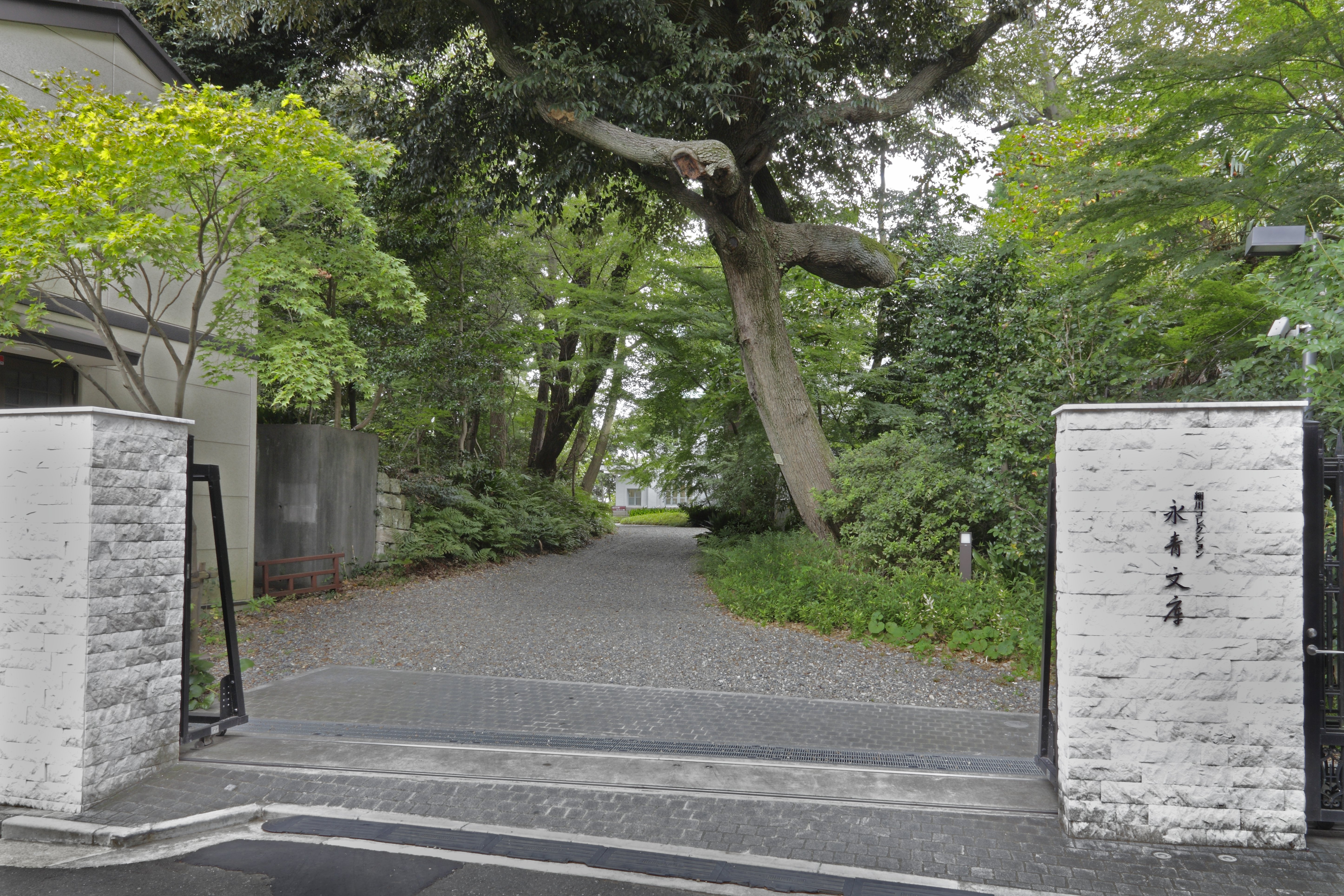 細川家の日本陶磁」展｜桑原亘之介