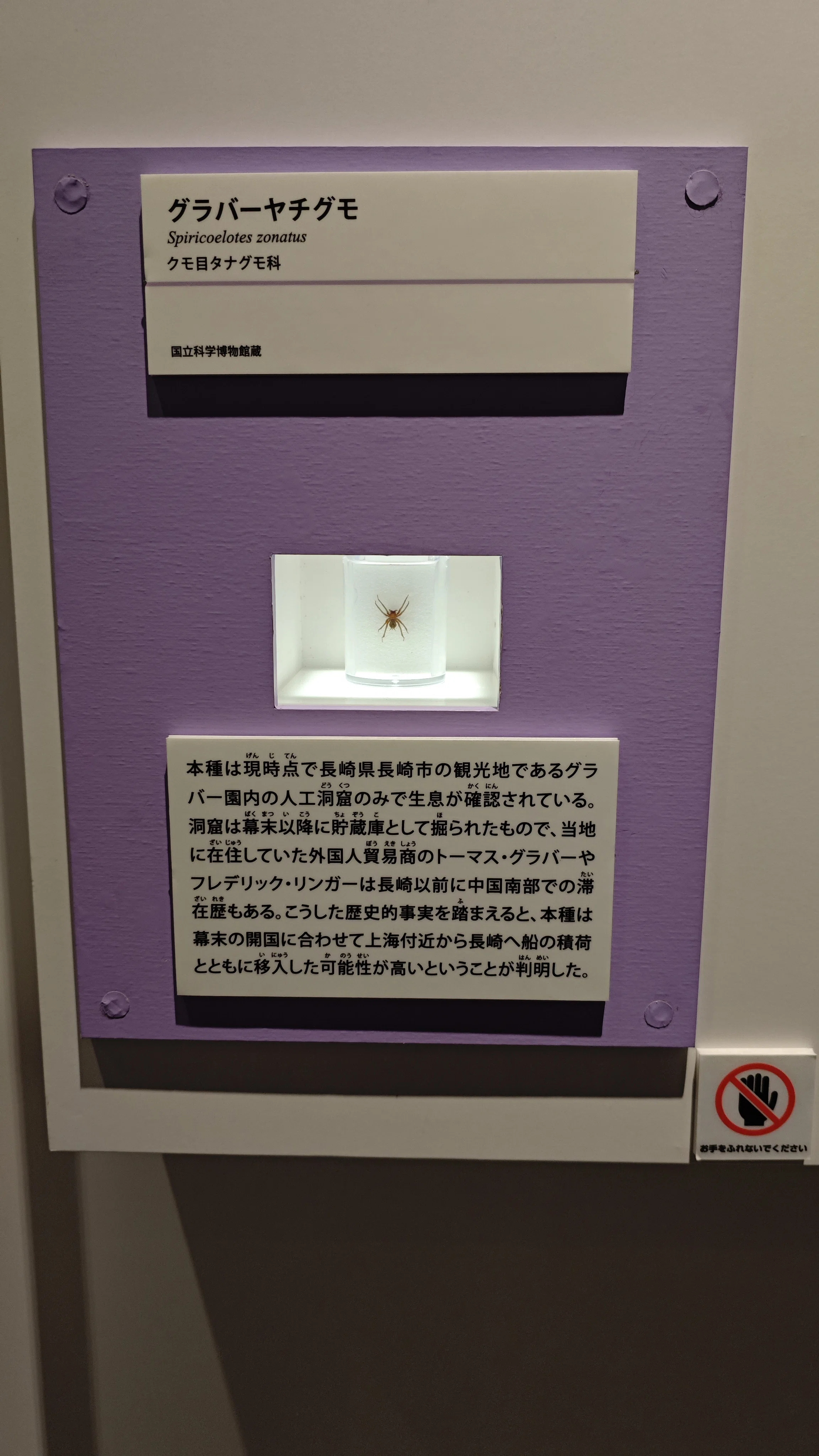 特別展】昆虫 MANIAC｜もんばん