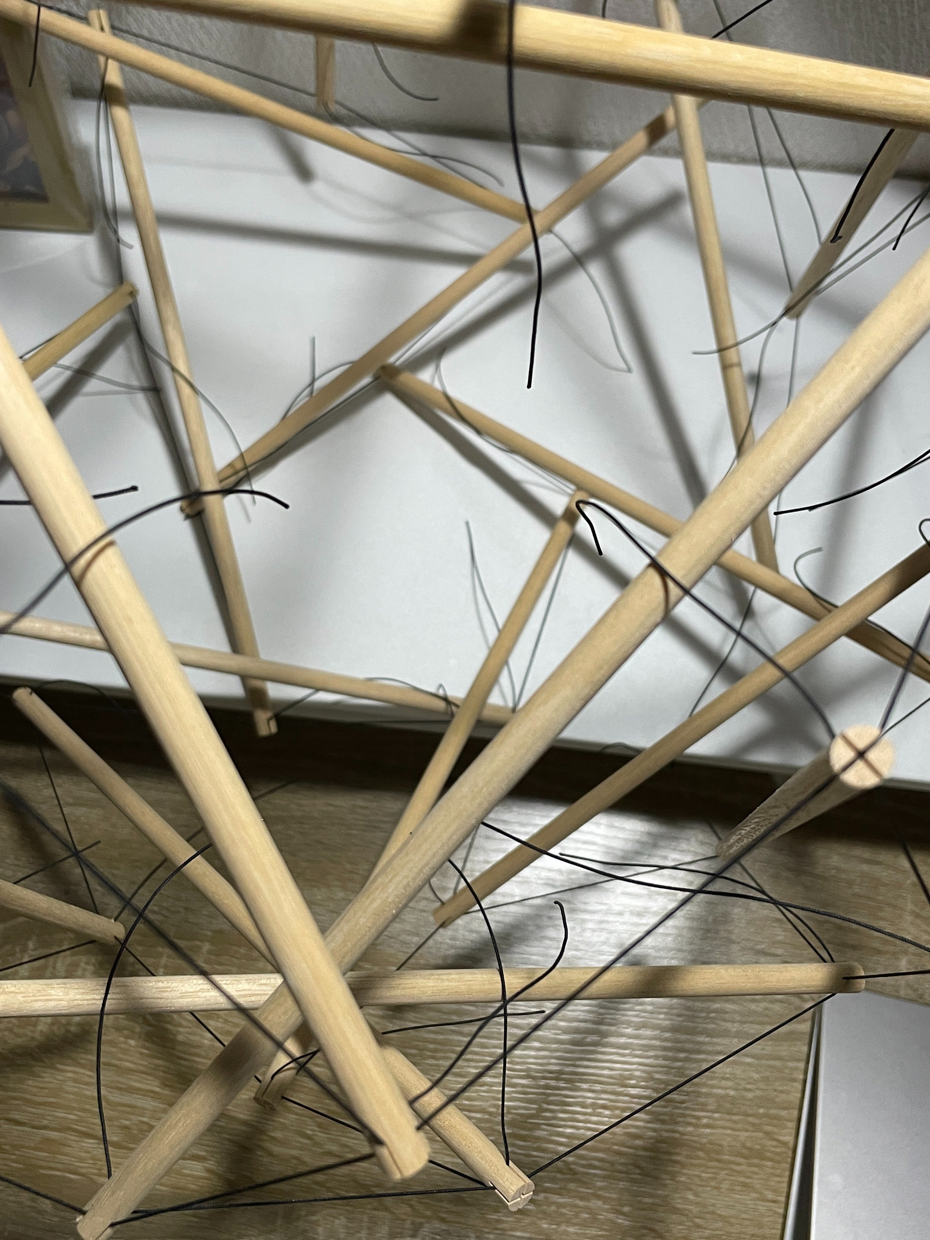 受注生産商品】TENSEGRITYLAB. テンセグリティラボ 6 struts model