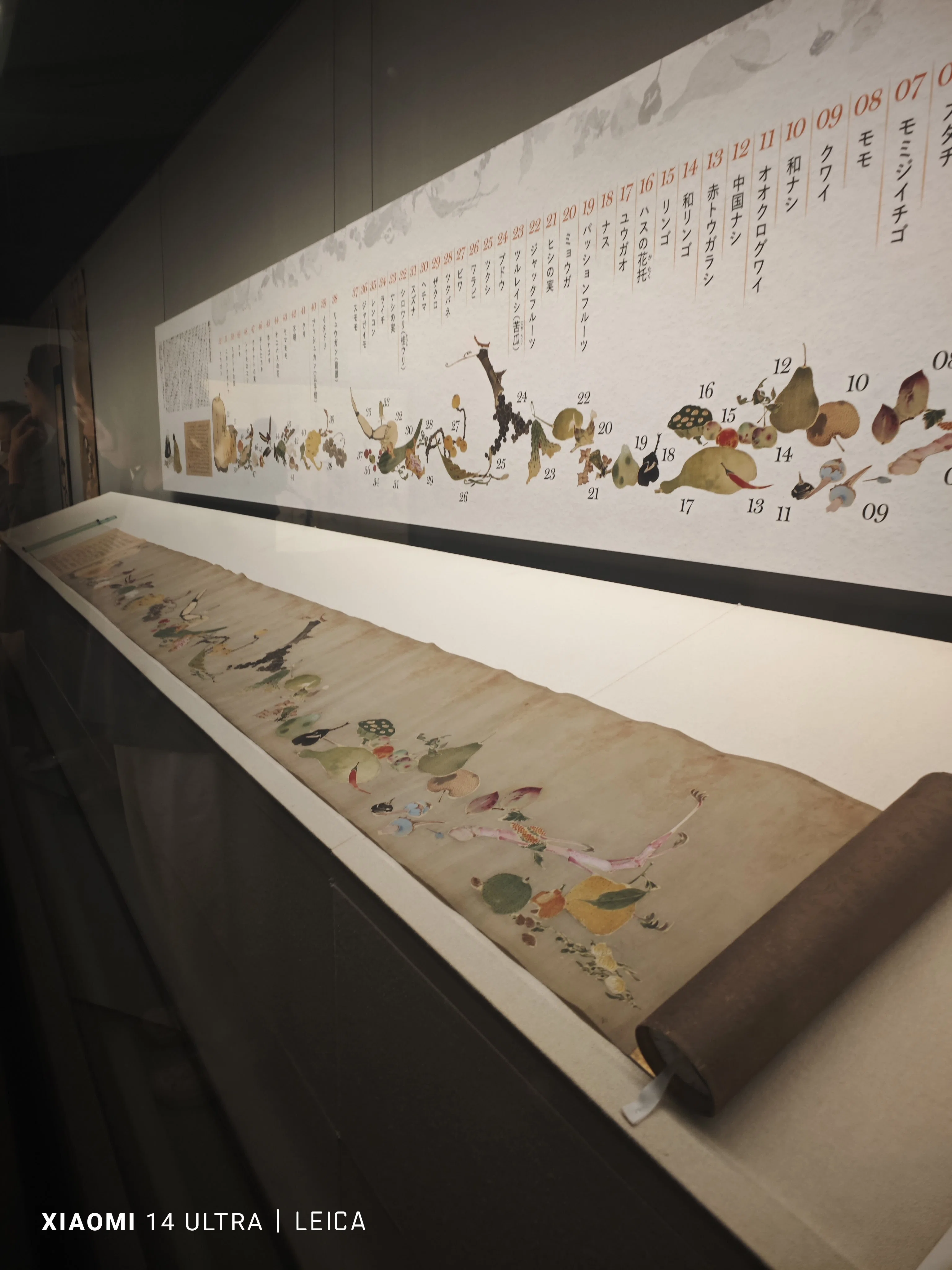 模写伝来az2246〈円山応挙〉荘子図 江戸時代 円山派の祖 - 模写 【模写