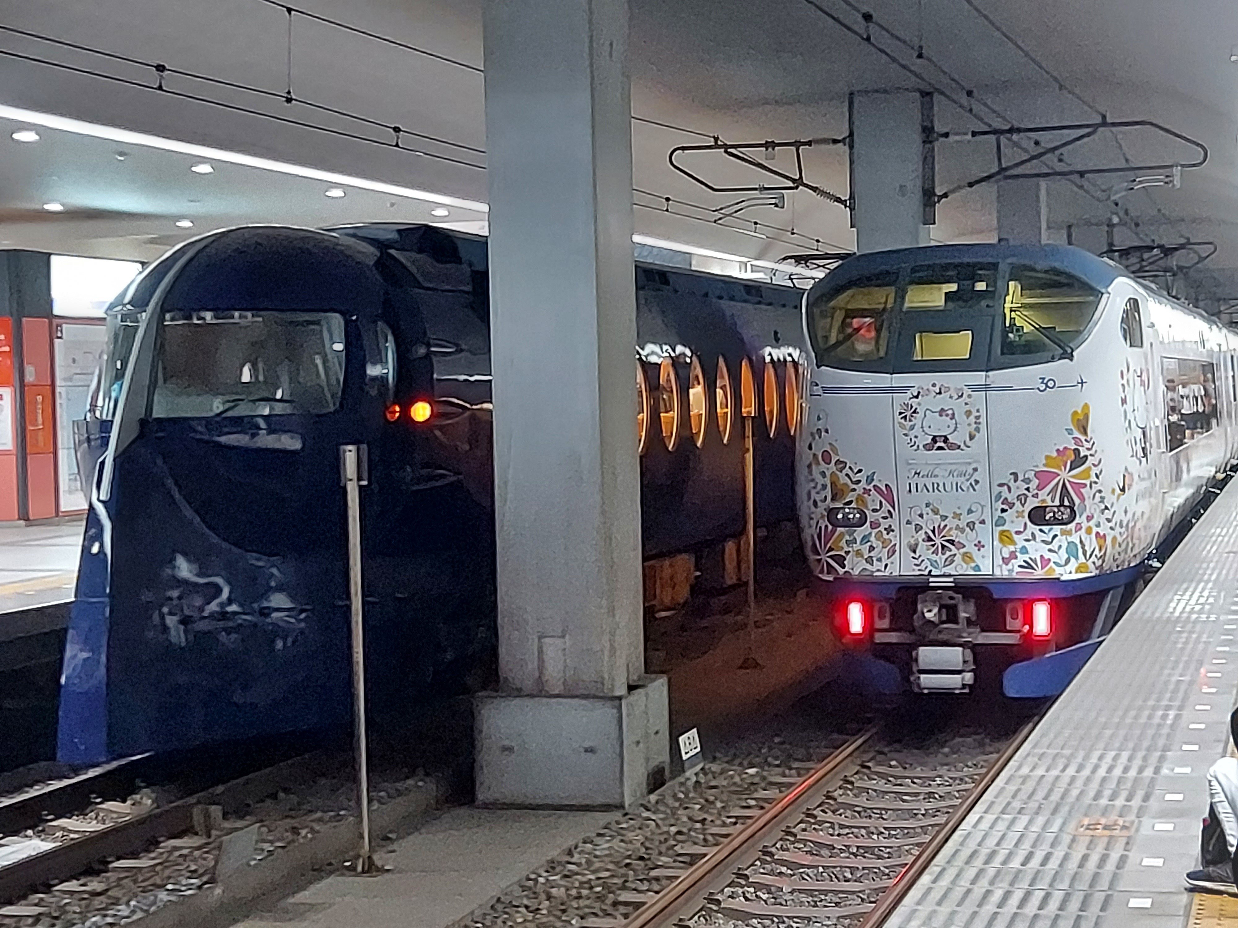 2024年9月7日(土) 関西国際空港 開港30周年 特別セレモニー｜難波桜