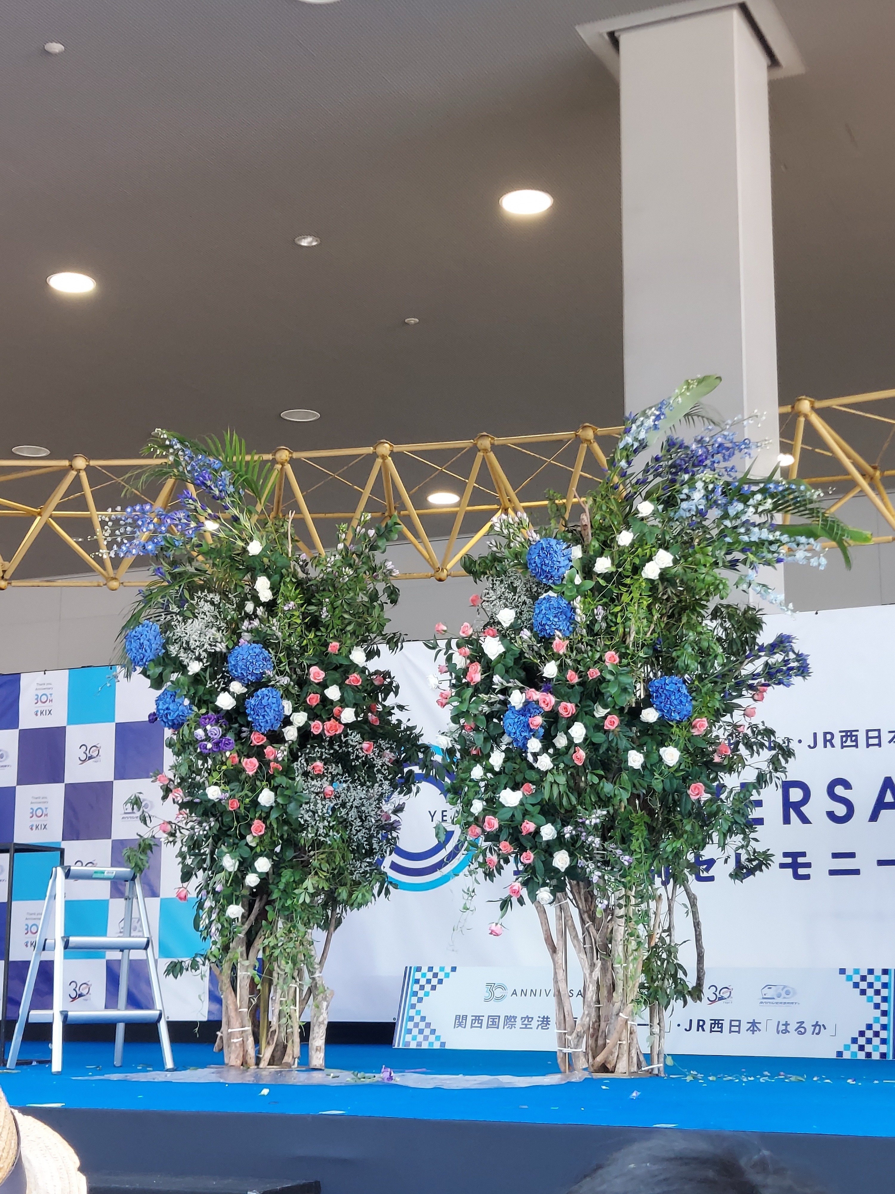 2024年9月7日(土) 関西国際空港 開港30周年 特別セレモニー｜難波桜