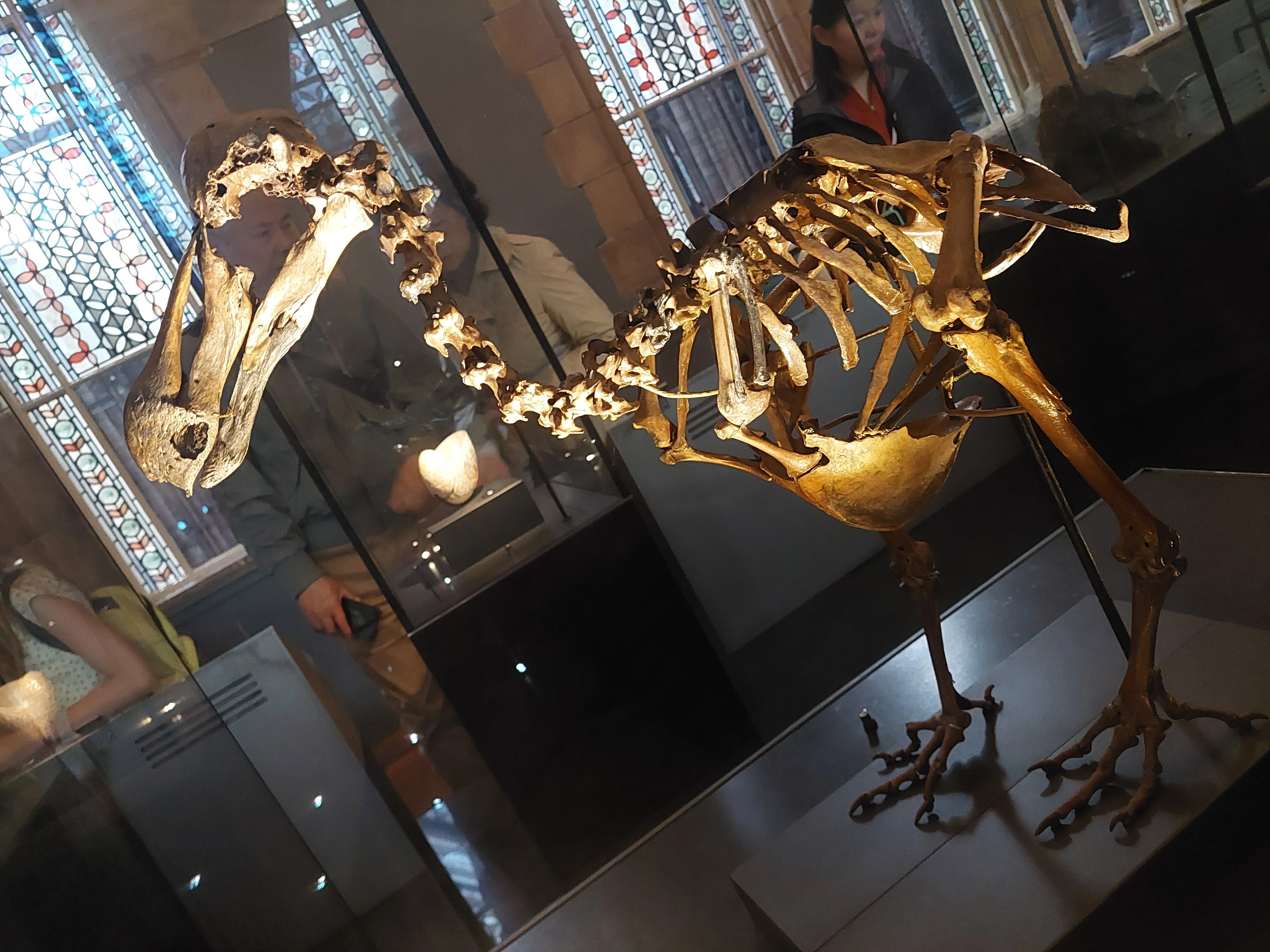 我が家のイギリス旅行記#14 第5日 後編 ロンドン自然史博物館｜Sano