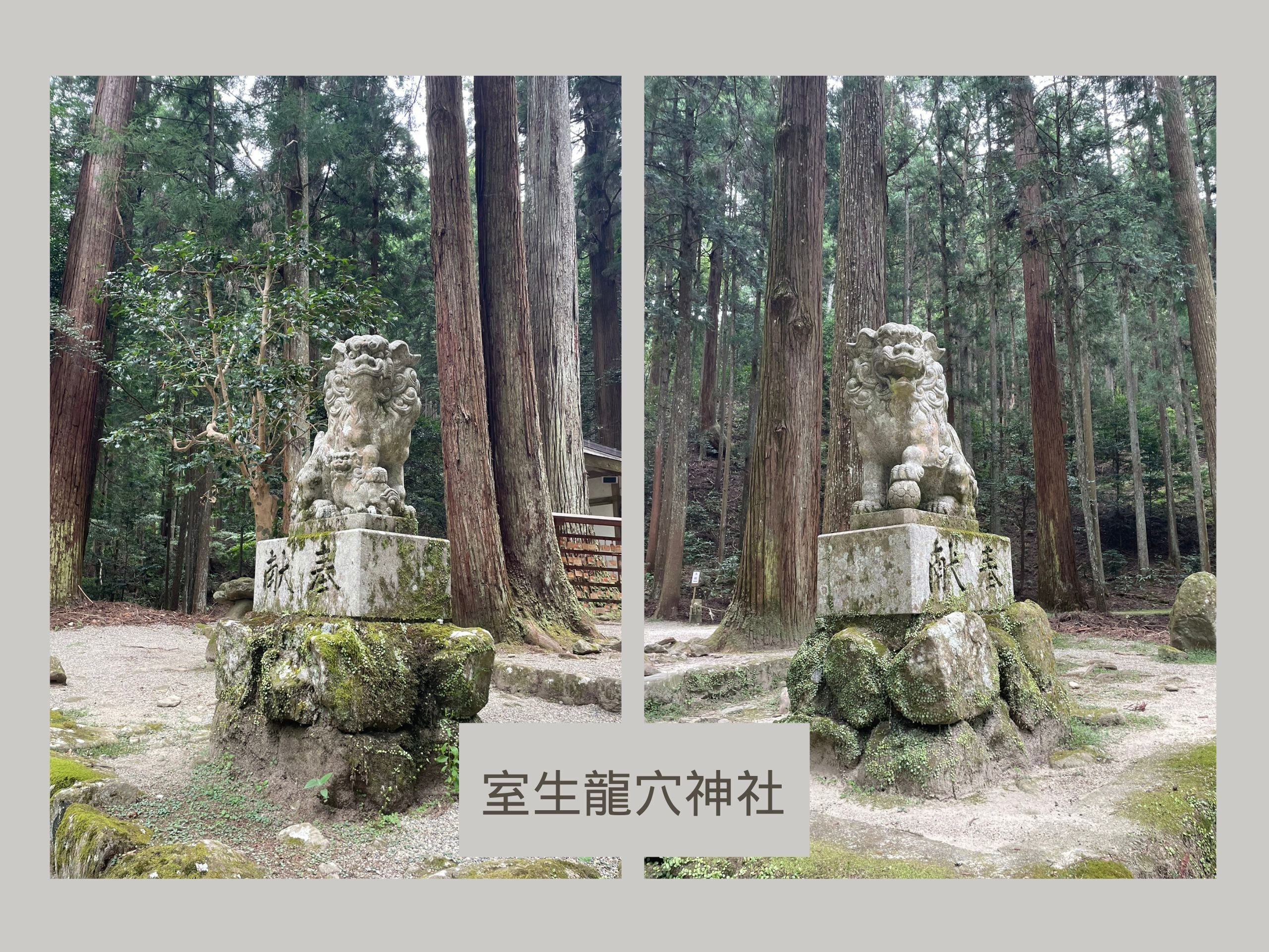 ほんとに雨乞いしちゃった「室生龍穴神社」｜ショコラ＠パワスポ
