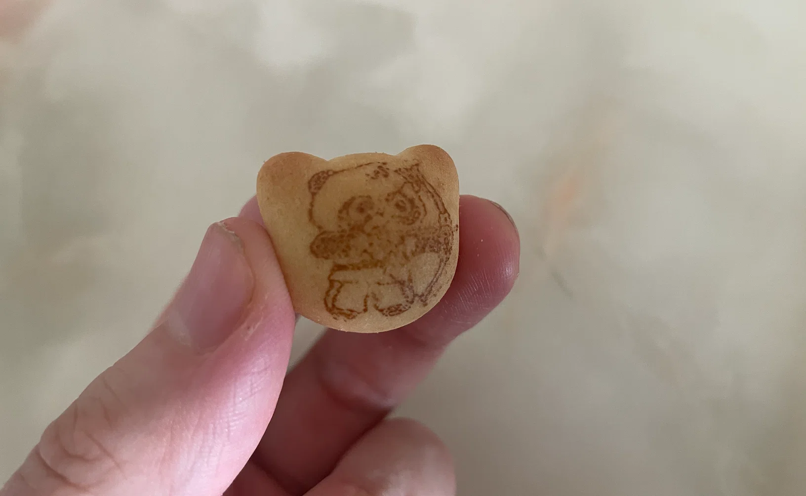 中国で見つけた「パンダのマーチ」の謎｜華村＠中国