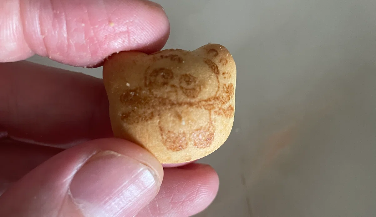 中国で見つけた「パンダのマーチ」の謎｜華村＠中国