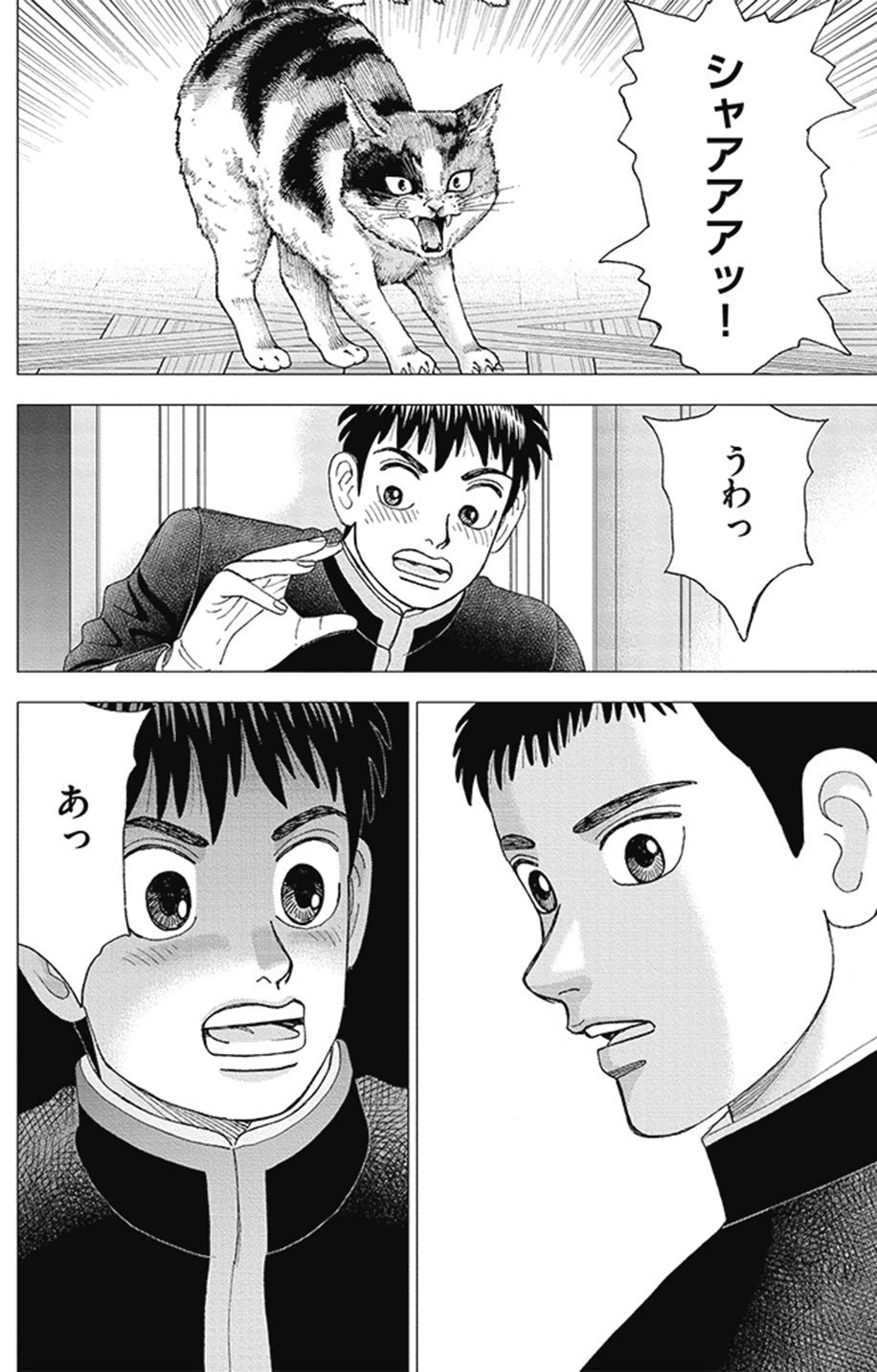 のん様　ご相談ページ 紺のんこ on X: 