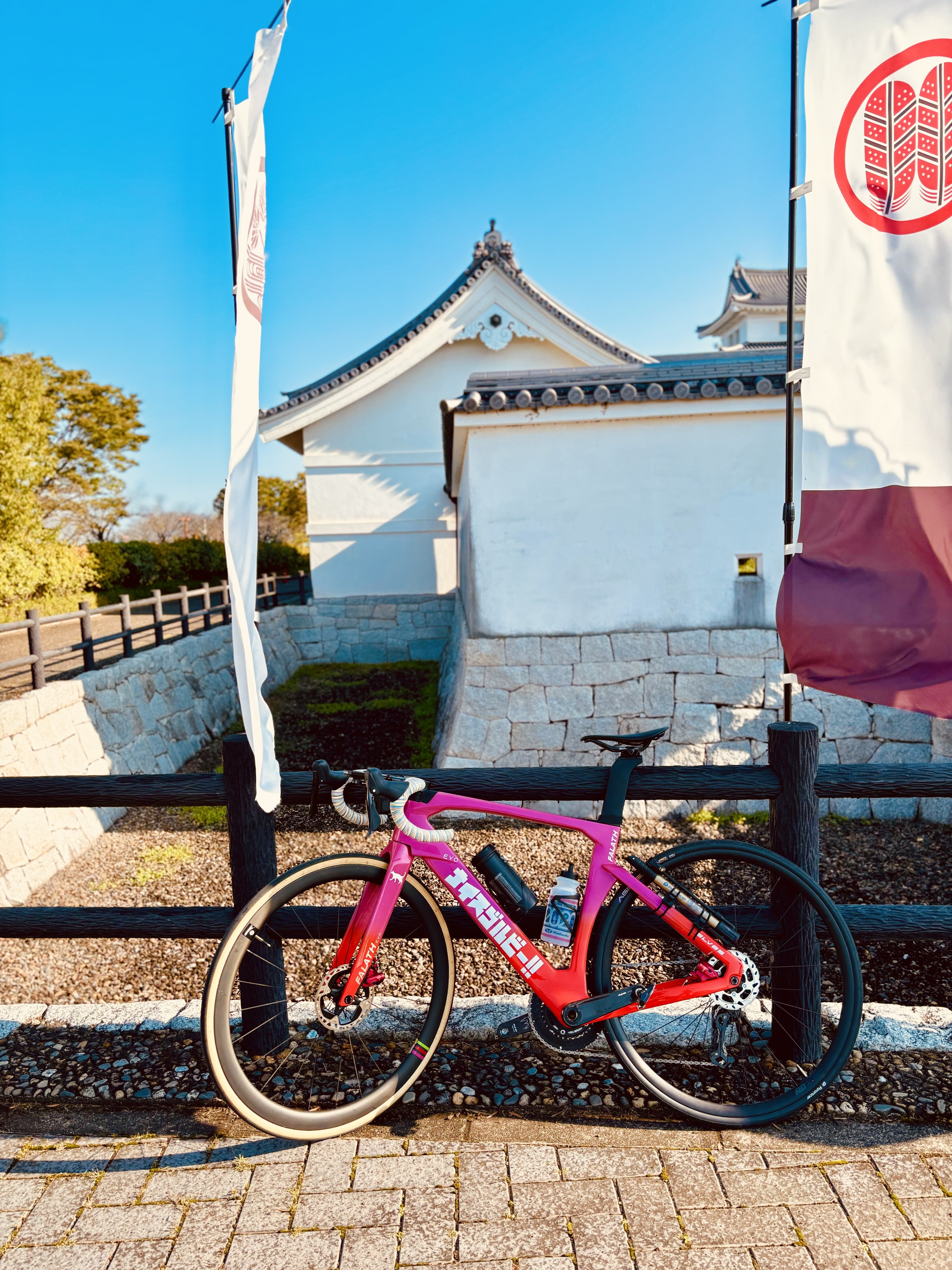 金曜日までelves FALATH EVO プラス46サイズ クリスタルゴールド