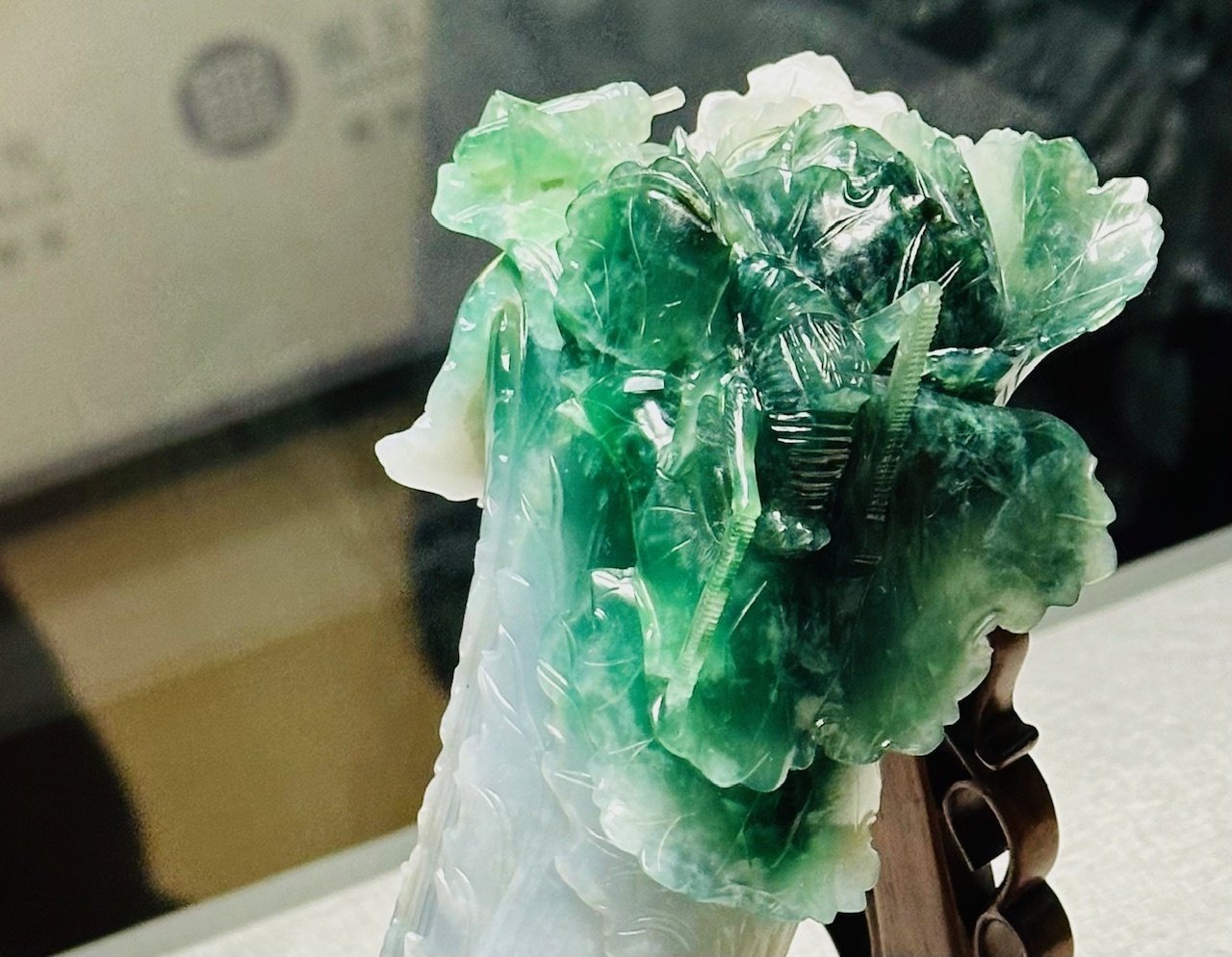 台北・植物アートの旅①】台湾の名宝「白菜」に感激！ @國立故宮博物院