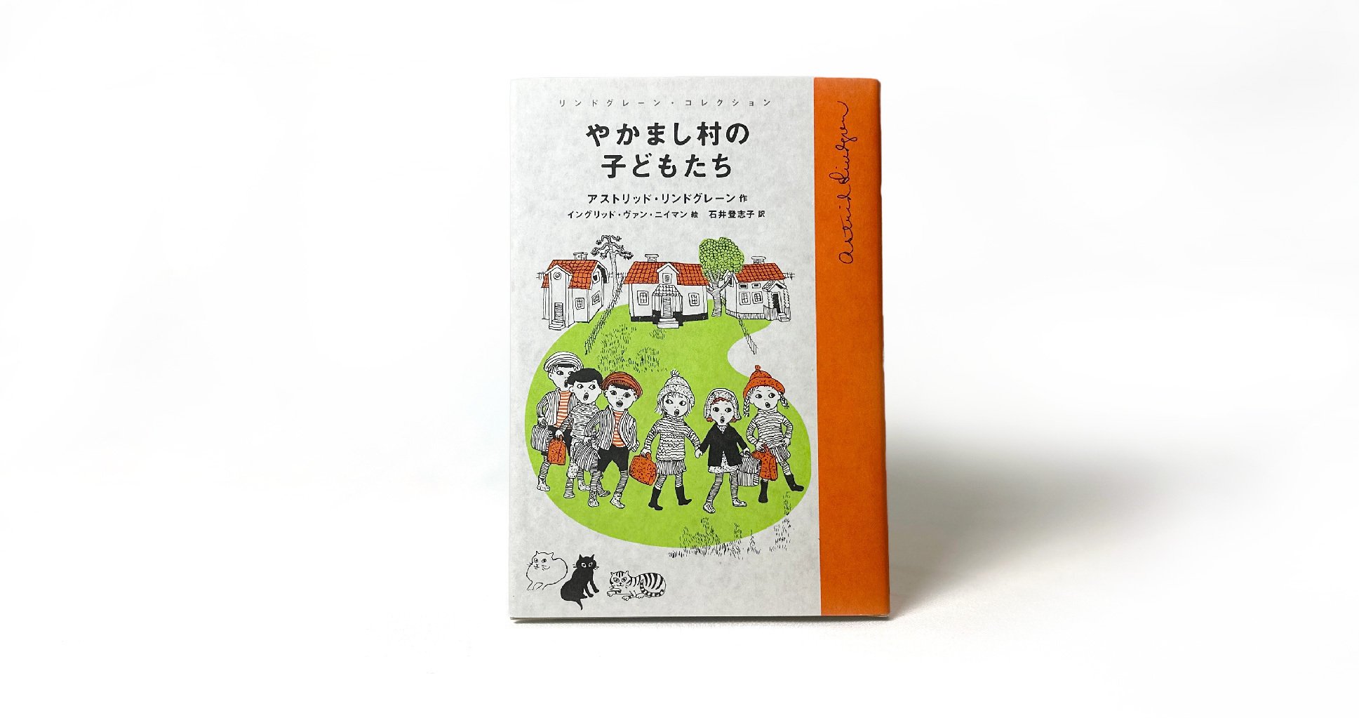 児童書 まとめ 20冊 リンドグレーン サン•テグジュペリ他 - 絵本