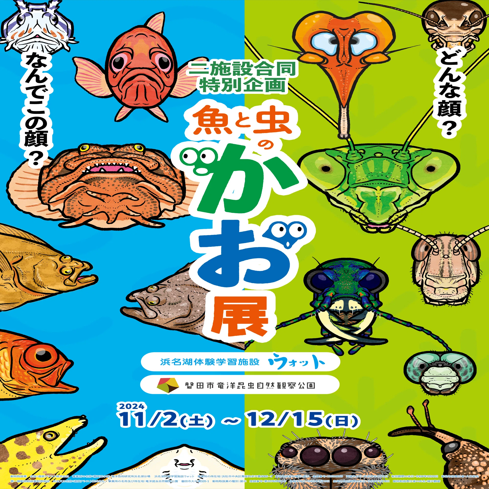 虫のかお｜竜洋昆虫自然観察公園