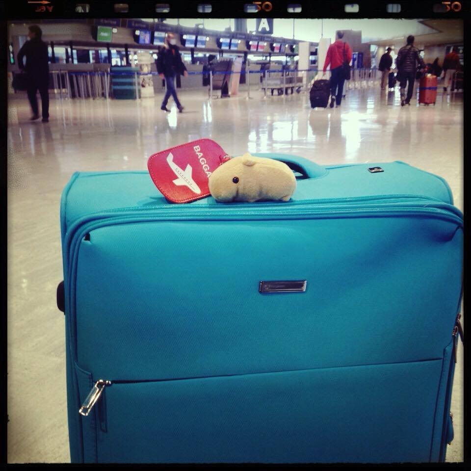 ぬいどり」で一人旅がもっと楽しくなる|旅のおとも「2代目 ぬいどり」で一人旅がもっと楽しくなる|旅のおとも「2代目