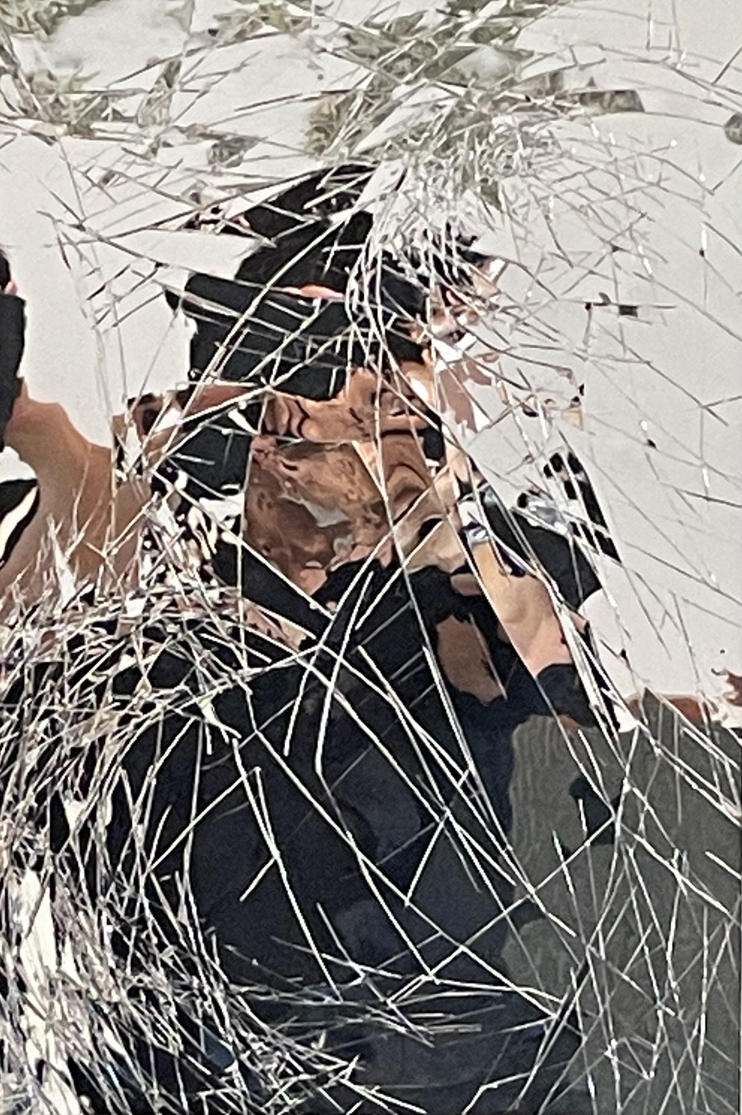 美術館紹介 No.13： 千葉市美術館 - 企画展 水平線を捲る｜まいたく