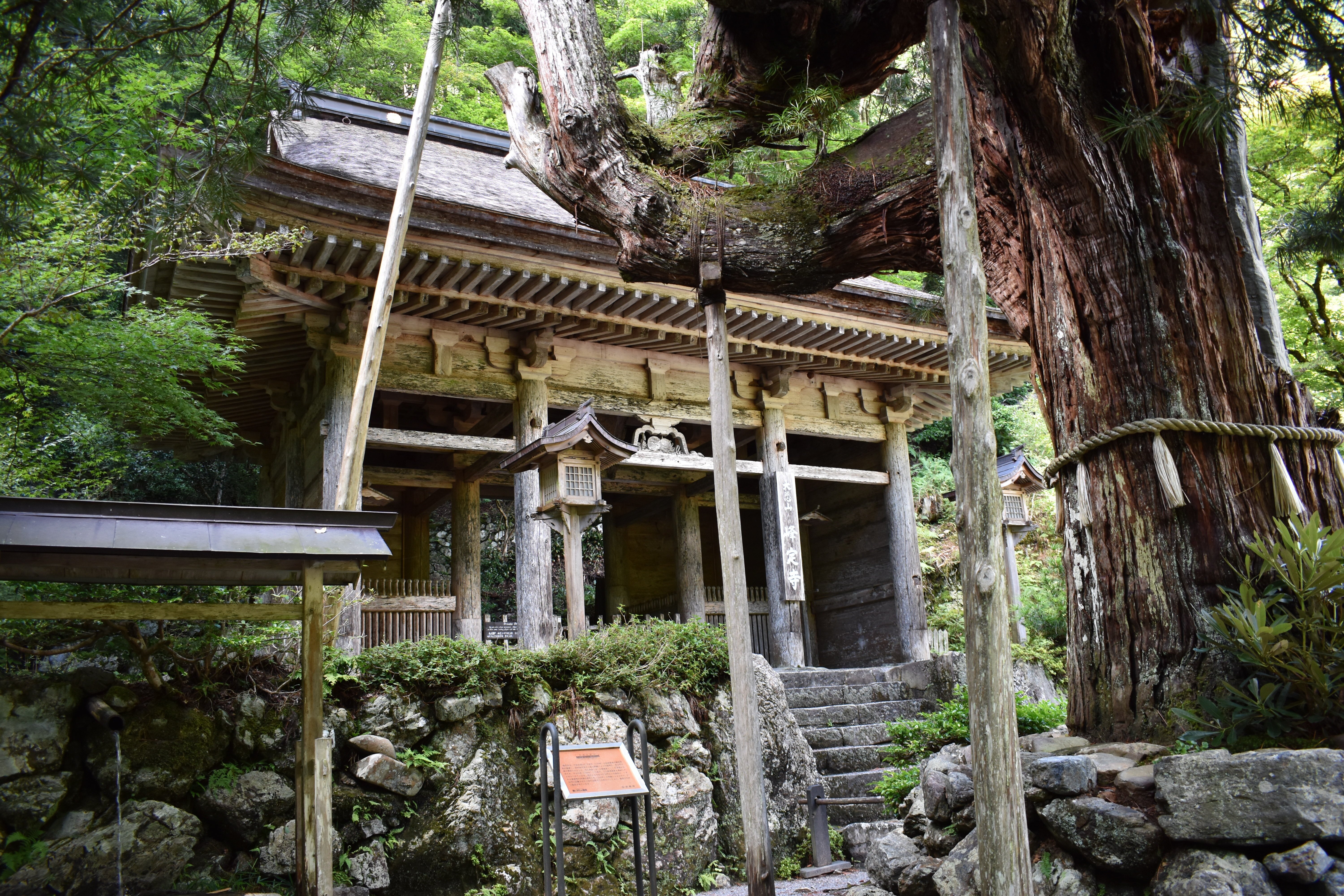 生き続ける文化財》『花背松上げ』と『久多の花笠踊』｜公益財団法人