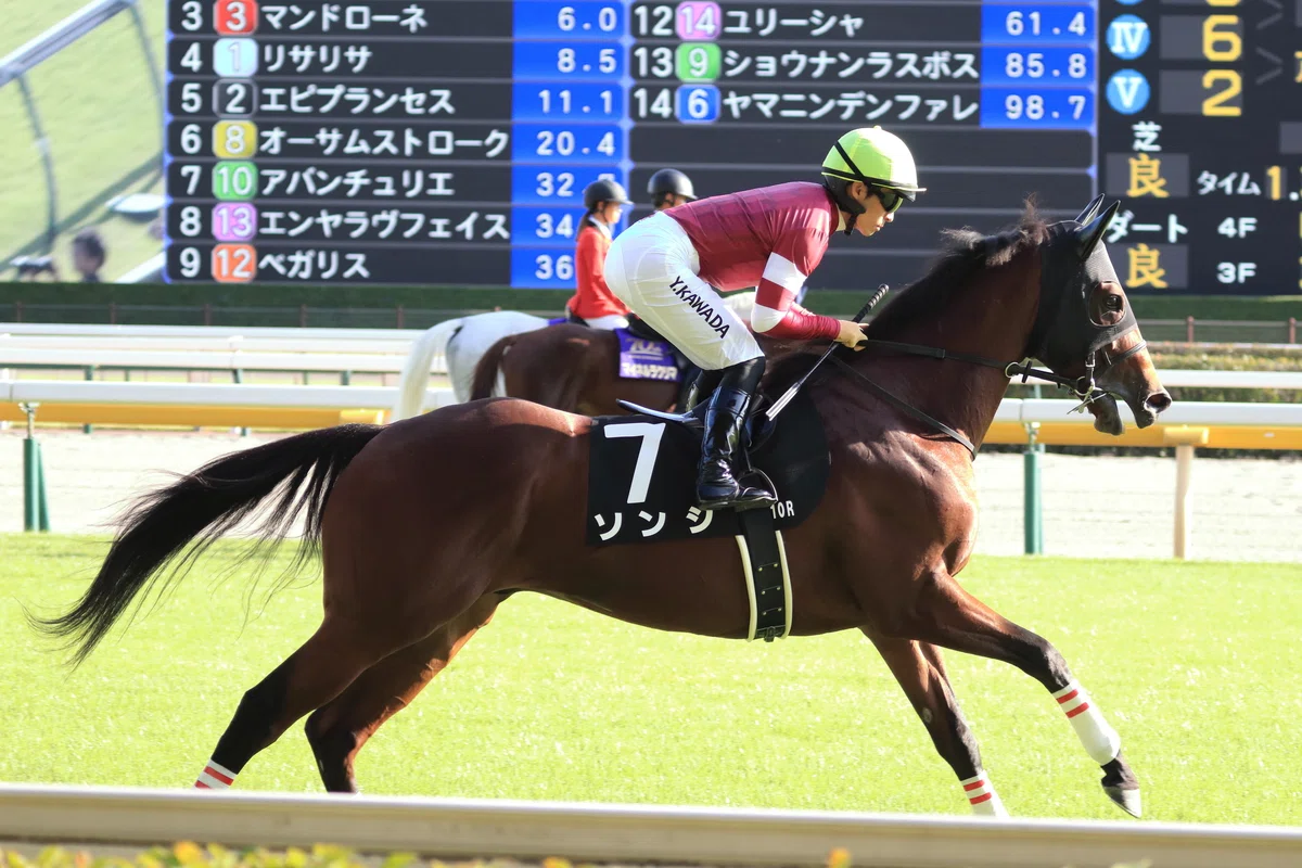 2024.10.14 東京競馬場(府中牝馬ステークス)|かぐらん@写真撮る人