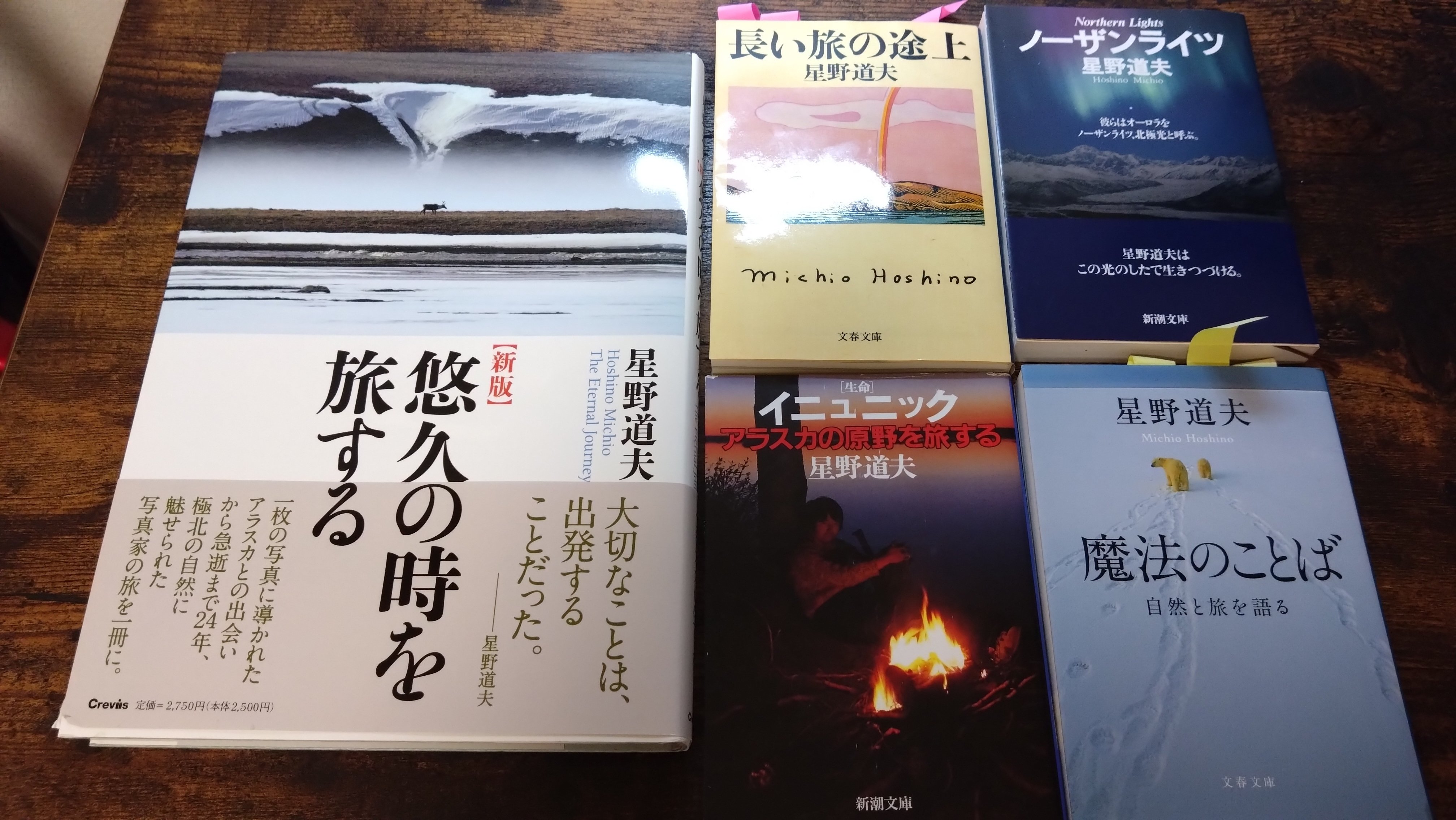 星野道夫氏の足跡を追って…大学2年夏、アラスカ一人旅してき 星野道夫氏の足跡を追って…大学2年夏、アラスカ一人旅してき