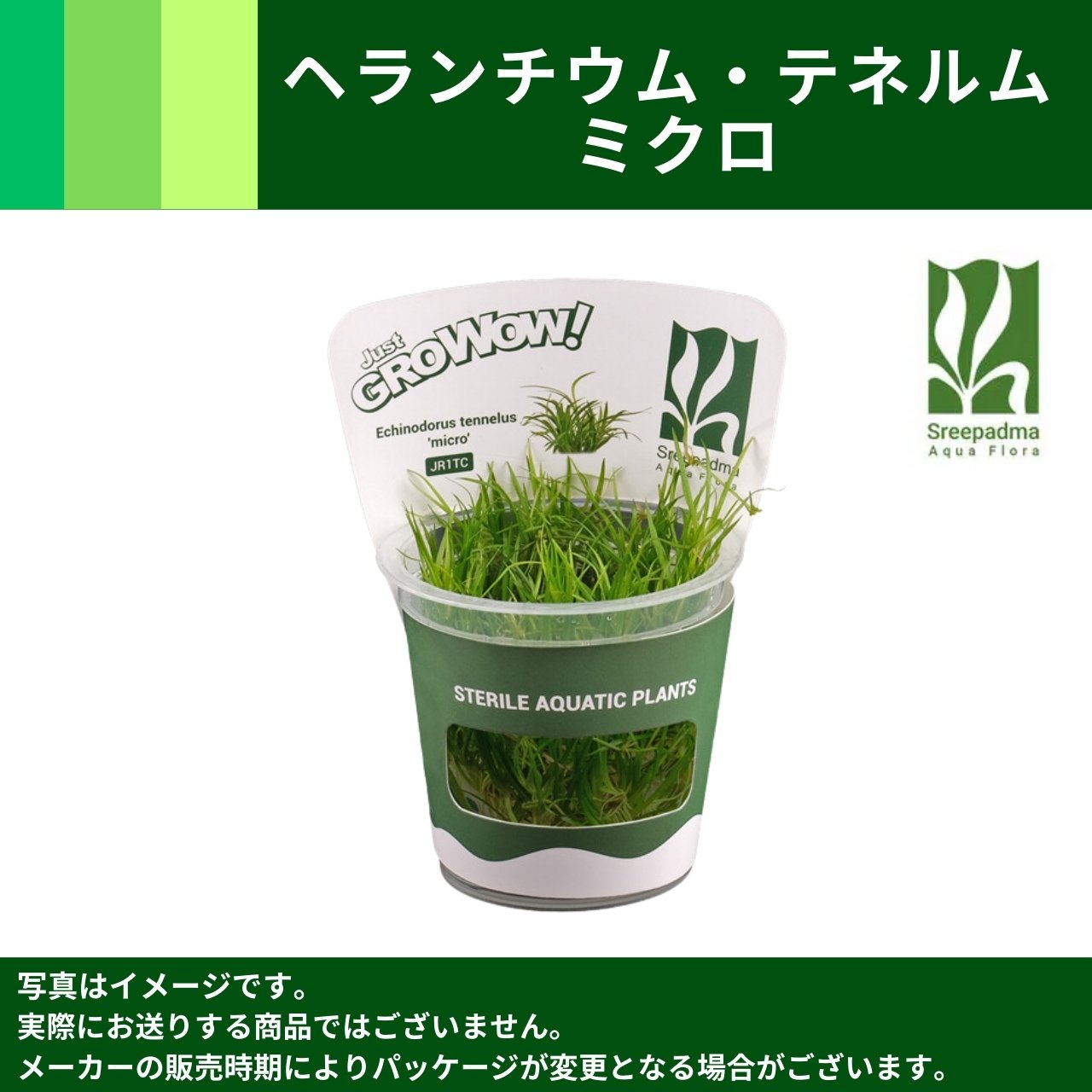 MIZUKUSAカタログ－GROWOW！－｜ますこ｜AQUACRYPT