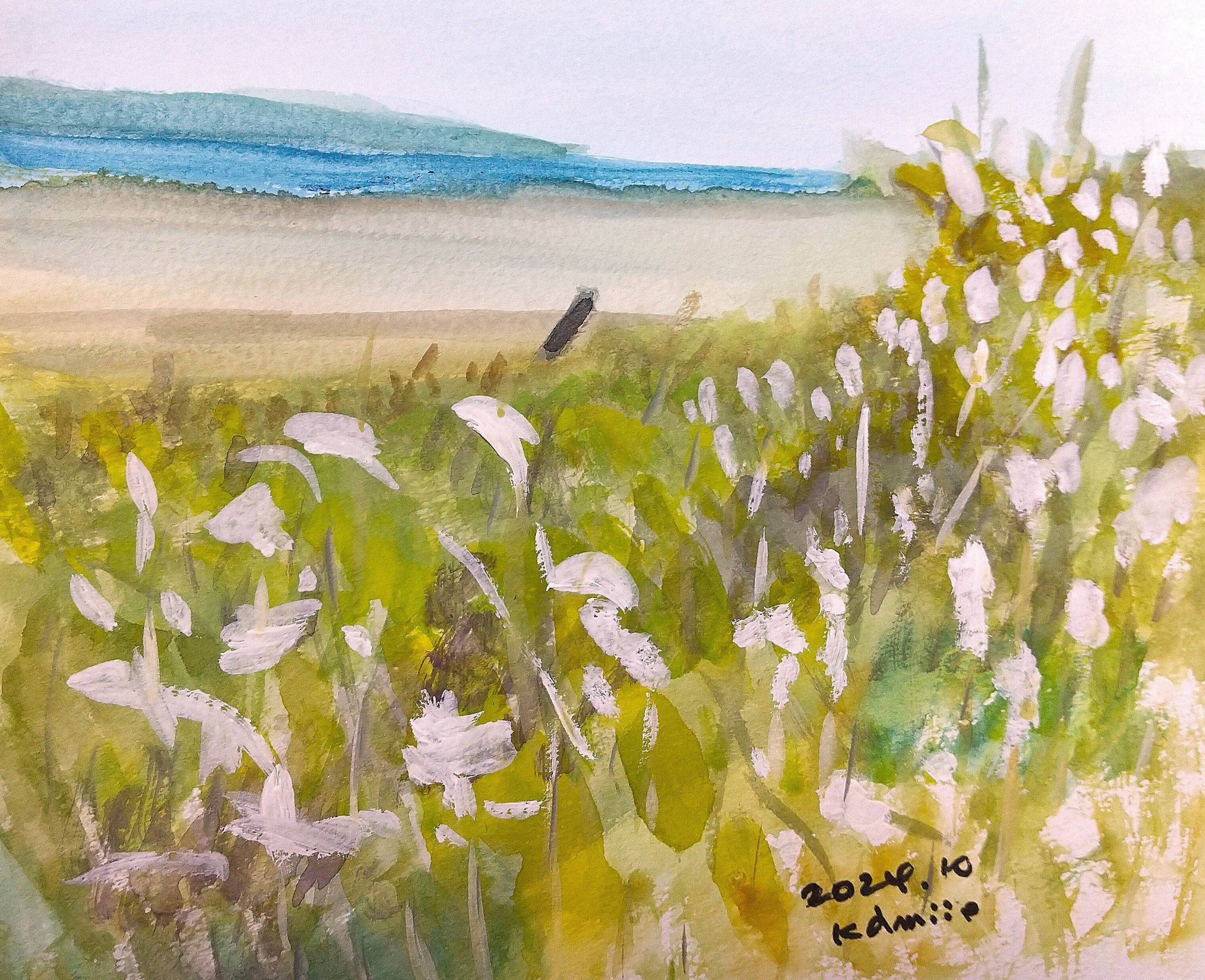 ススキ(おたるドリームビーチから)｜北海道の熊おやじ〜北海道の179