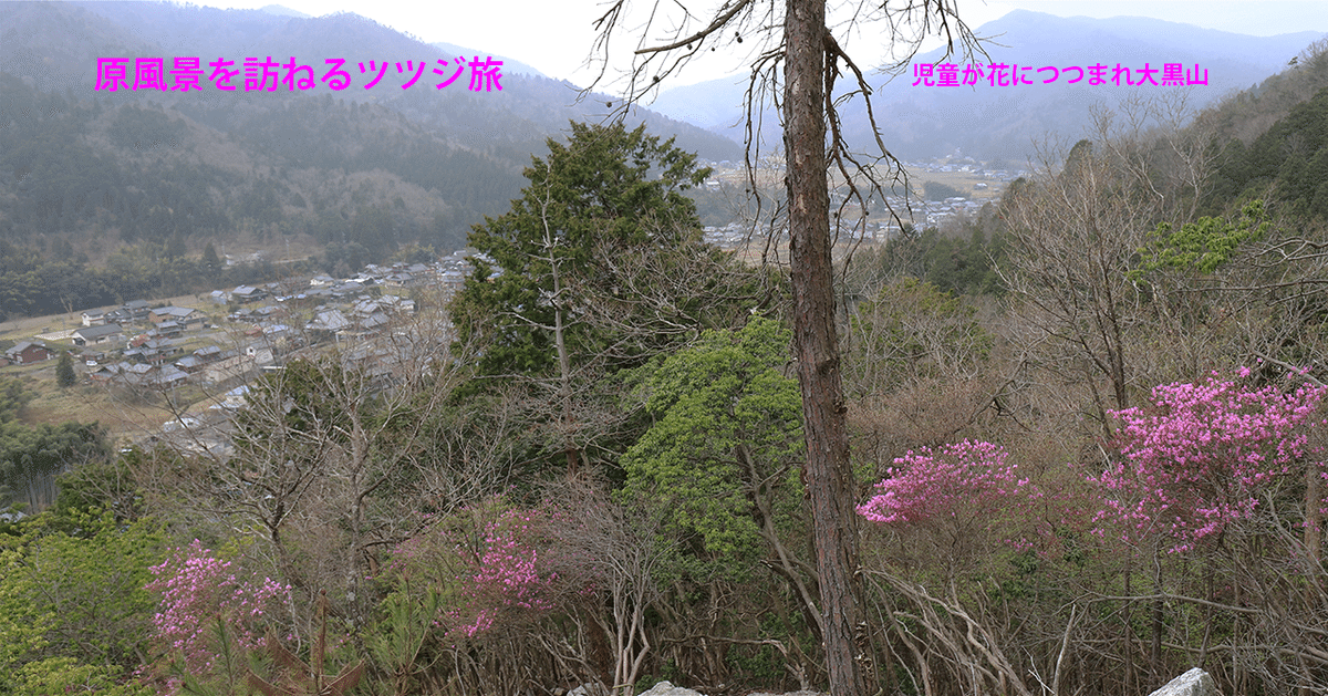 43．コバノミツバツツジの名所37ヶ所｜sasayan