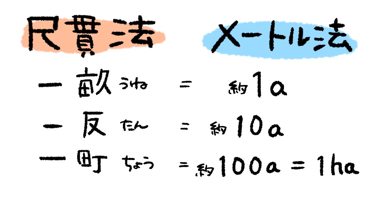 田んぼと東京ドームの面積を比べてみた｜株式会社大潟村あきたこまち