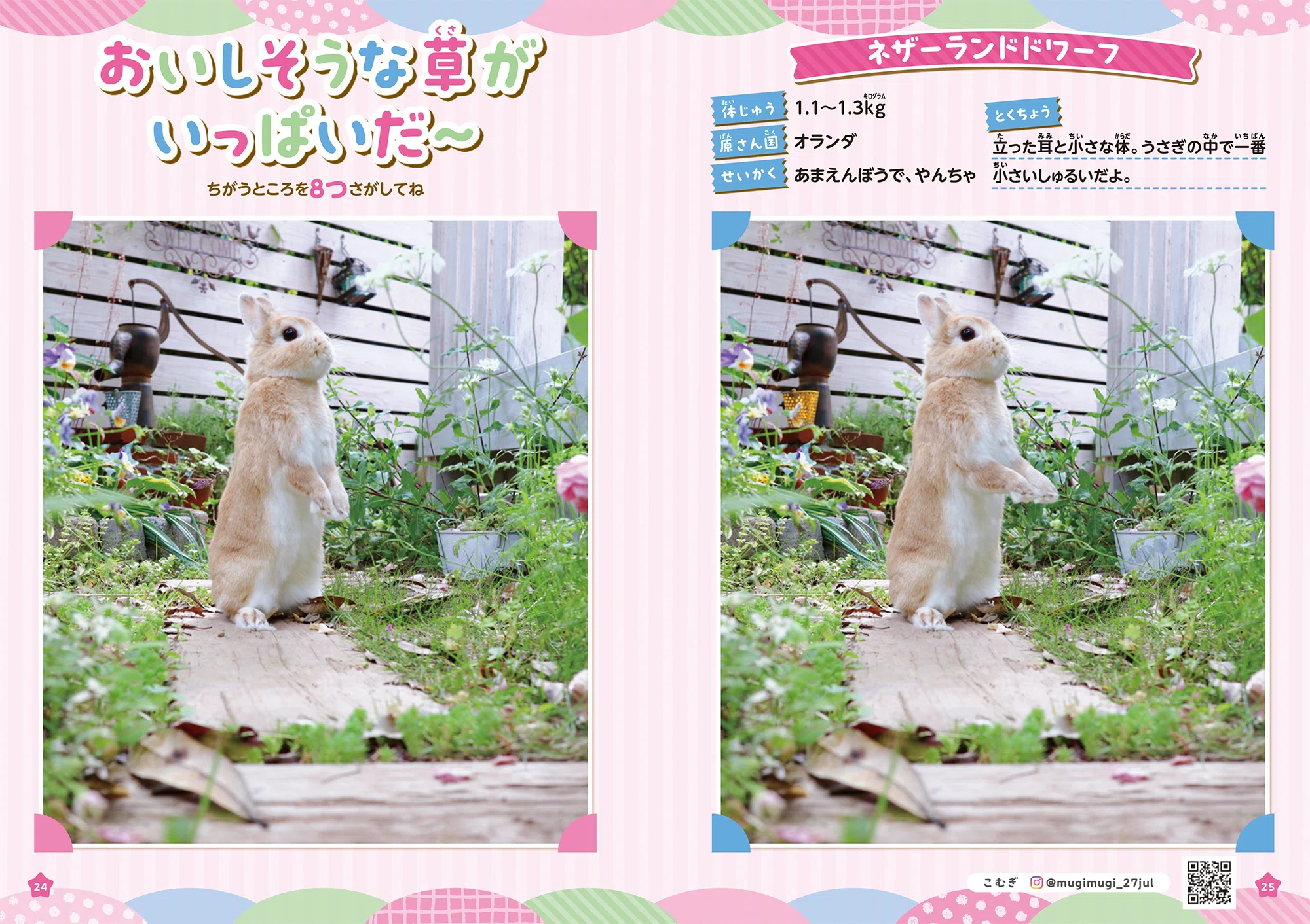 もふもふ動物にいやされる♪ SNSで大人気の動物たちがまちがいさがしに