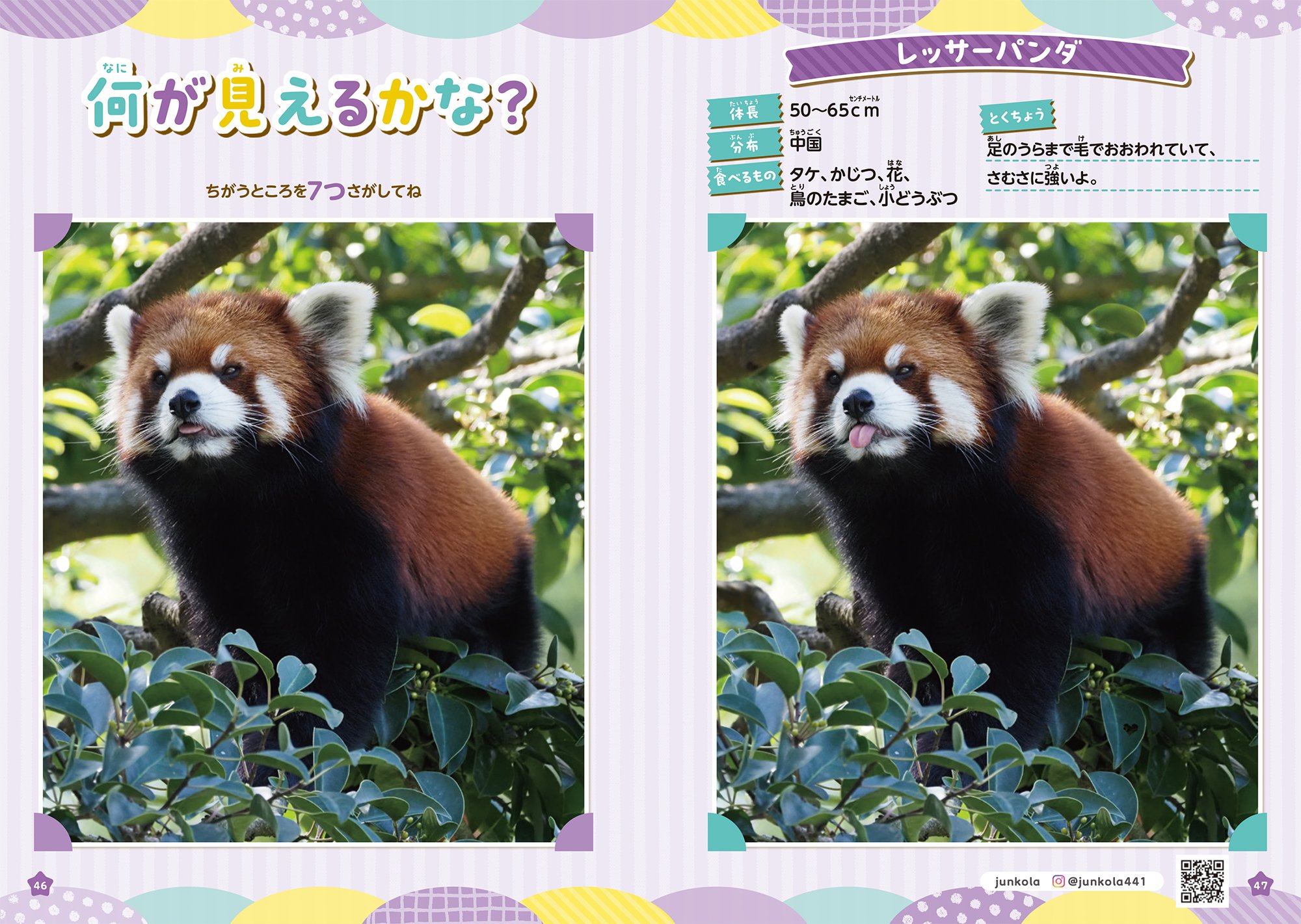 もふもふ動物にいやされる♪ SNSで大人気の動物たちがまちがいさがしに