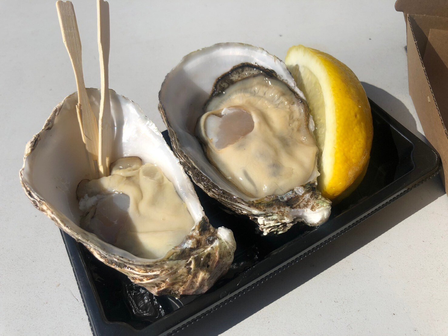 はねむーん🌻inオーストラリア🇦🇺🐨✈️(シドニーVer)｜アイニチ株式