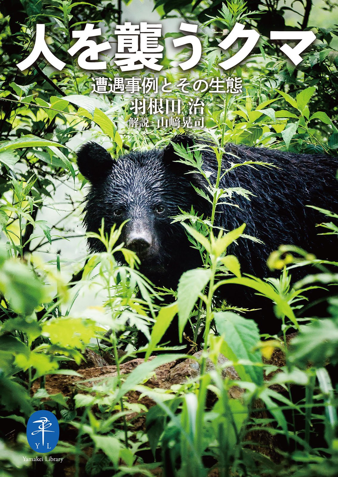 人とクマの関係を考える【ヤマケイのこんな本】｜ヤマケイの本