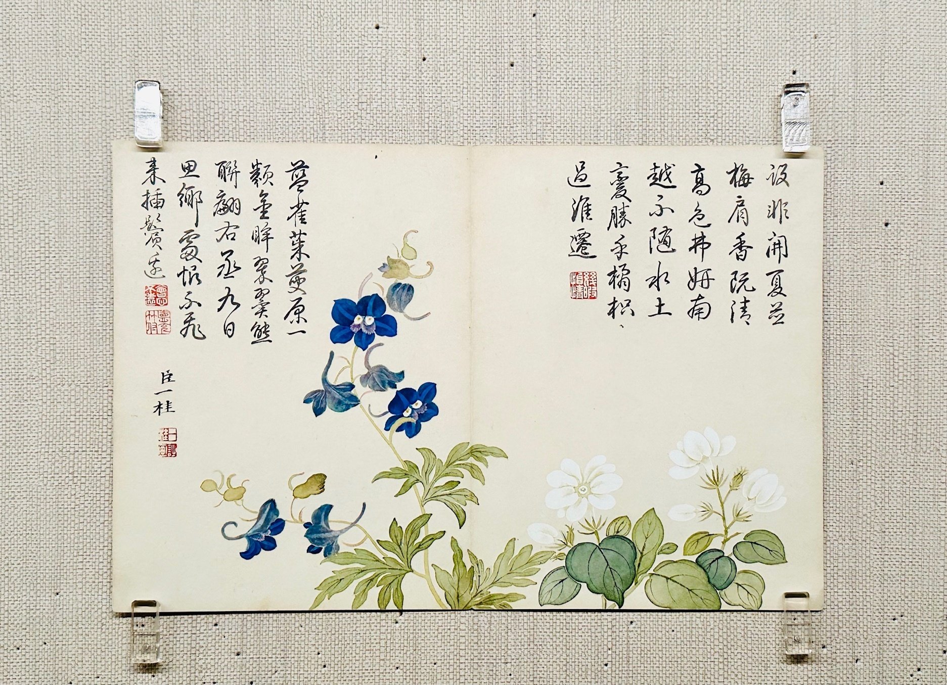 台北・植物アートの旅②】清の宮廷画家が描いた植物画にうっとり