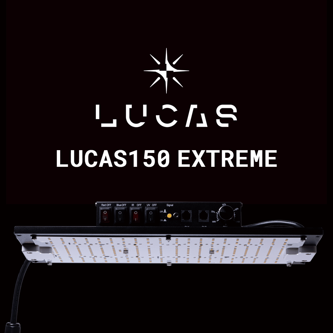 植物育成ライト LUCAS150 PC-LC150P | Agave & Caudex Por