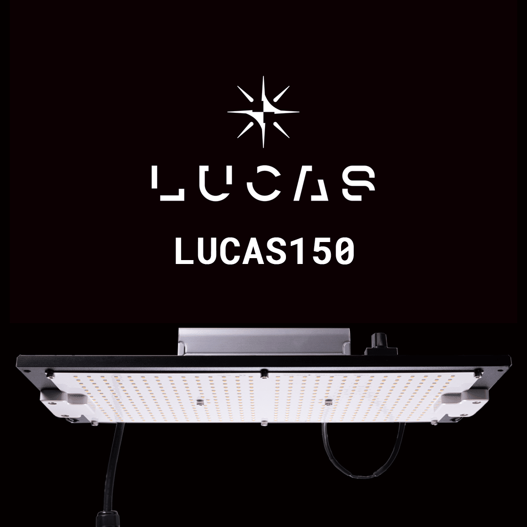 植物育成パネルライト \"LUCAS(ルーカス）100 LITE\" 植物育成パネルライト 