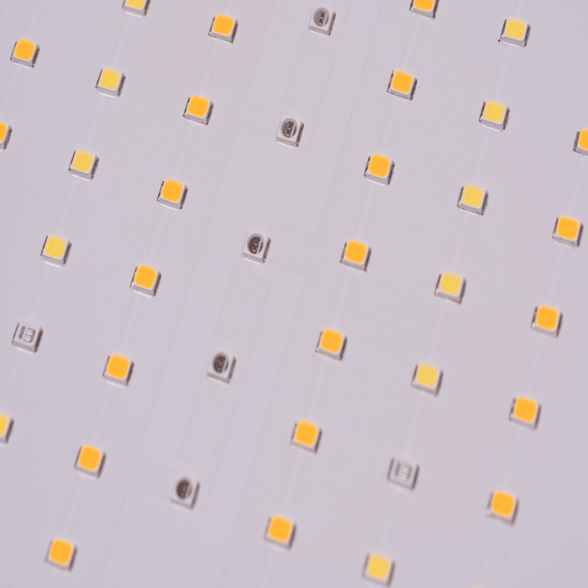 コストパフォーマンス抜群の植物育成ライト 