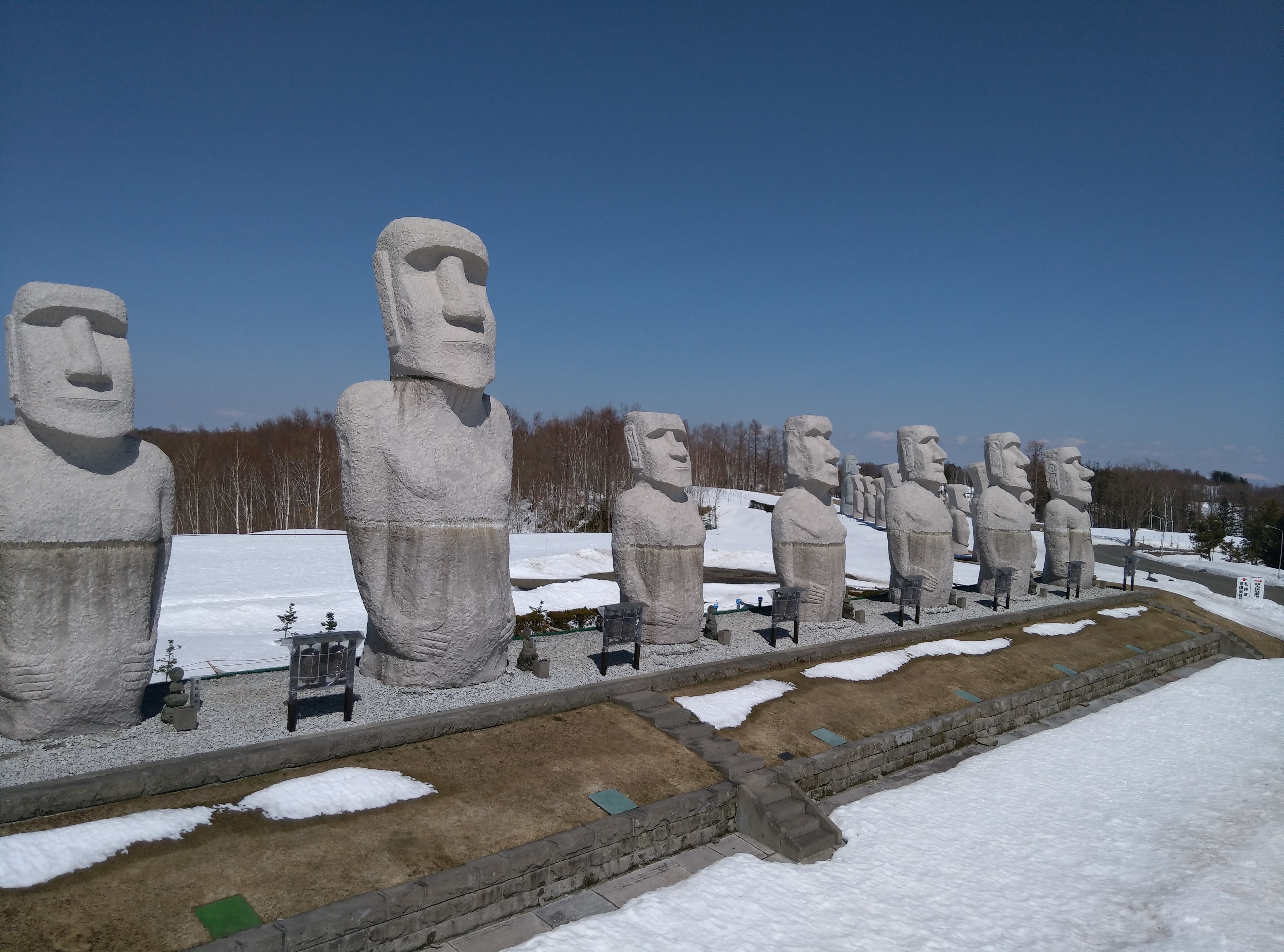 北海道の大地でモアイも予防！」、それと自己紹介も｜こんちゃん