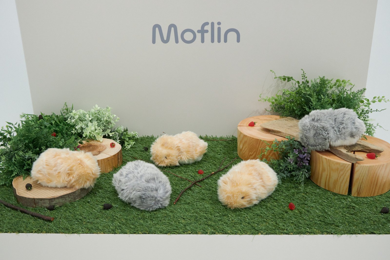 モフモフ”のこの子は一体なにもの?カシオ「Moflin」をお披露目 モフモフ”のこの子は一体なにもの?カシオ「Moflin」をお披露目