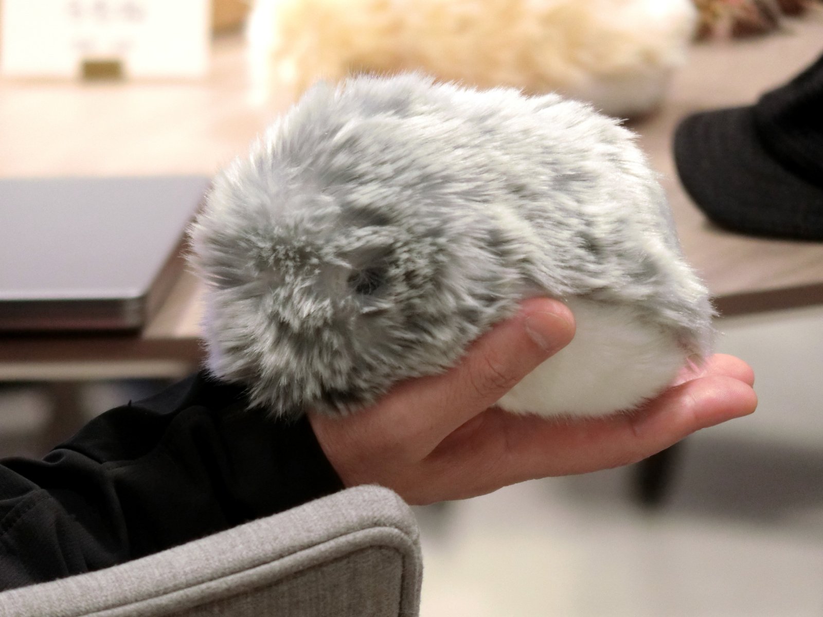 モフモフ”のこの子は一体なにもの?カシオ「Moflin」をお披露目 モフモフ”のこの子は一体なにもの?カシオ「Moflin」をお披露目