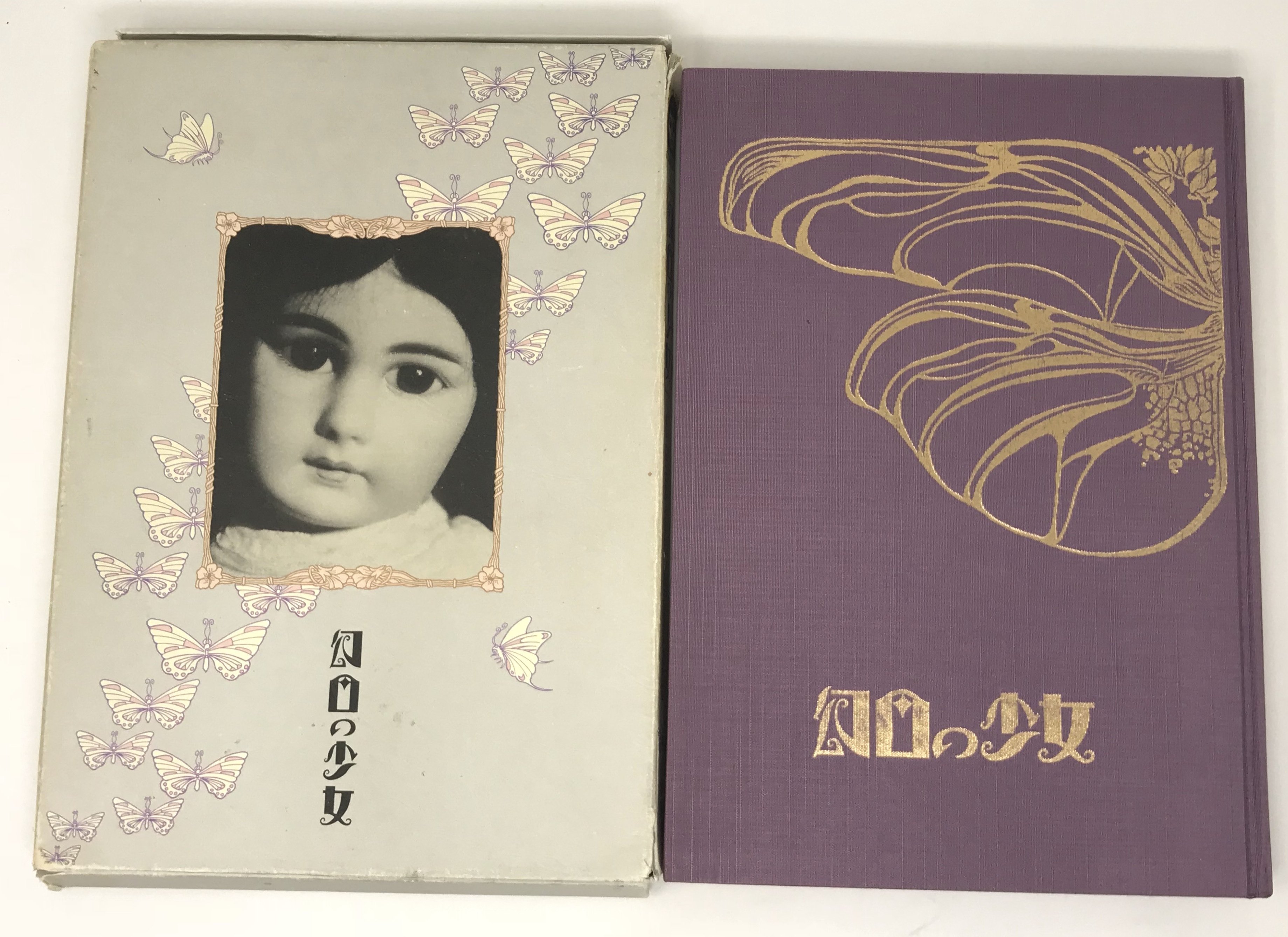 日本的古本屋一直搜尋到的《幻日の少女》到底是什麼書？｜雨下松