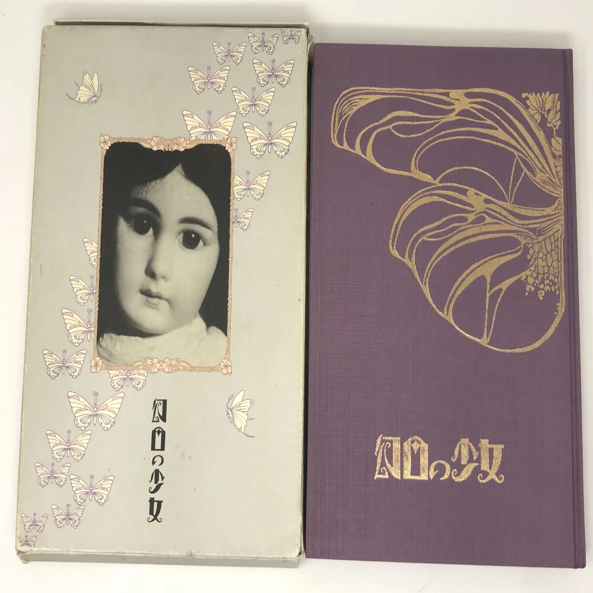 日本的古本屋一直搜尋到的《幻日の少女》到底是什麼書？｜雨下松