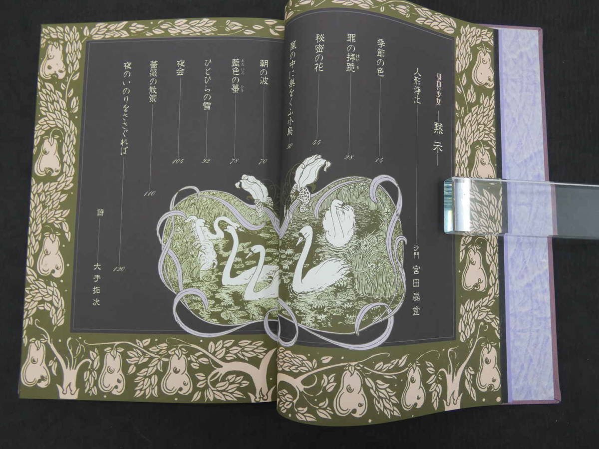 日本的古本屋一直搜尋到的《幻日の少女》到底是什麼書？｜雨下松