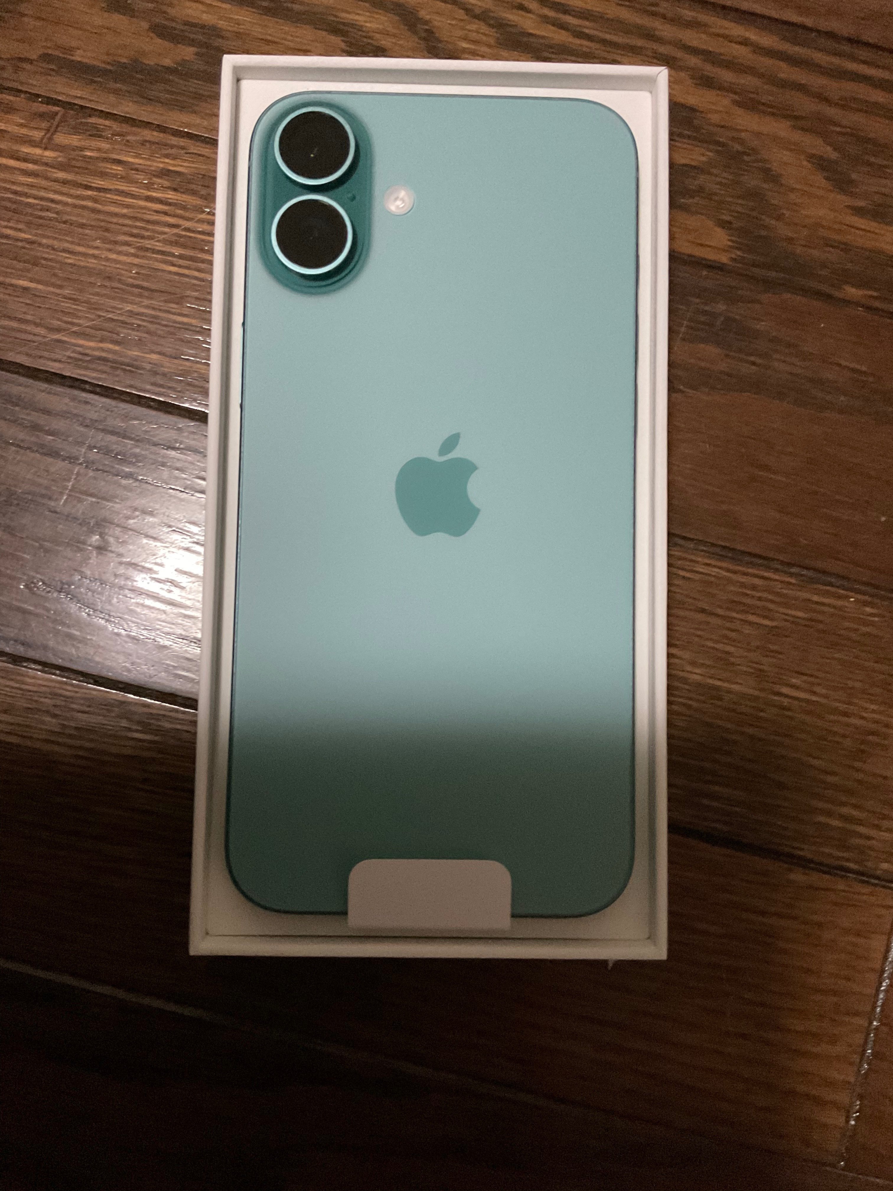 iPhone16 Plus 買っちゃいましたー｜きのこみや@再開しました