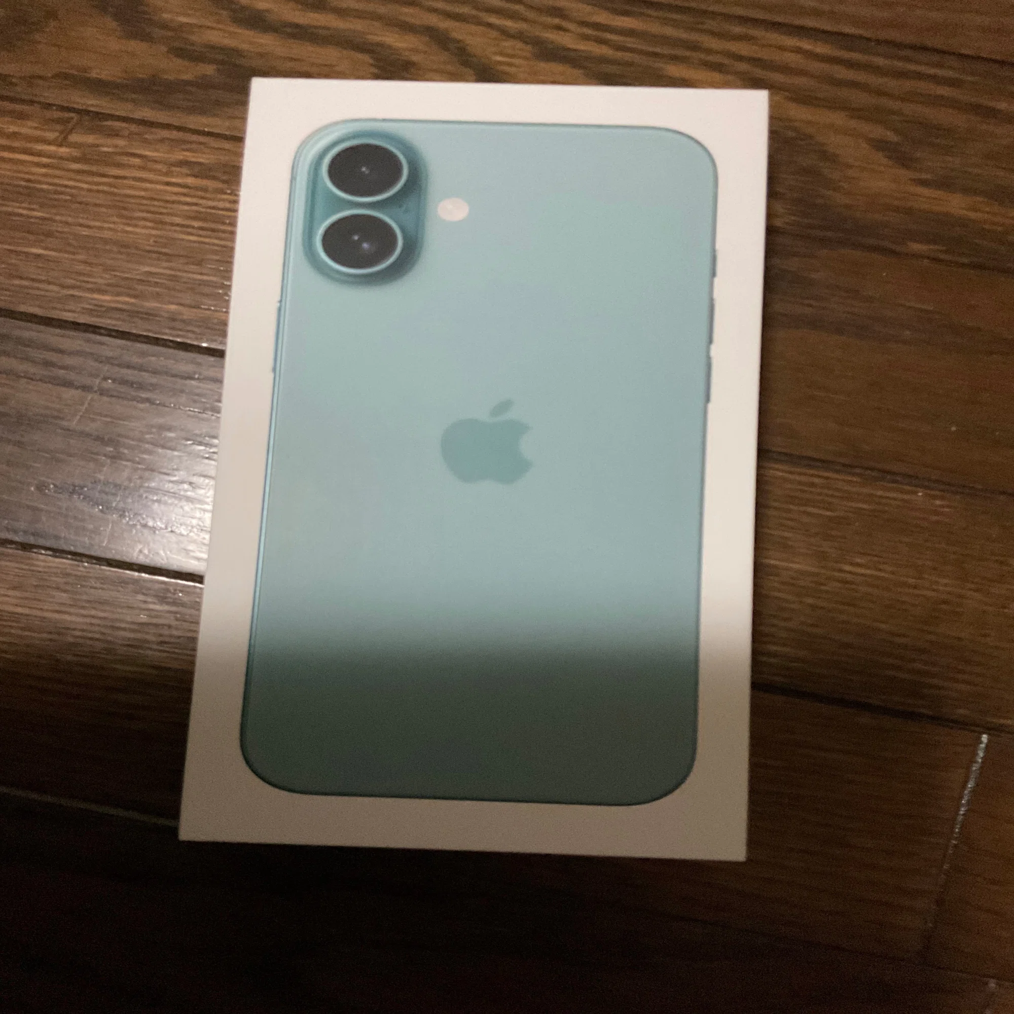 iPhone16 Plus 買っちゃいましたー｜きのこみや@note創作大賞2026作成中