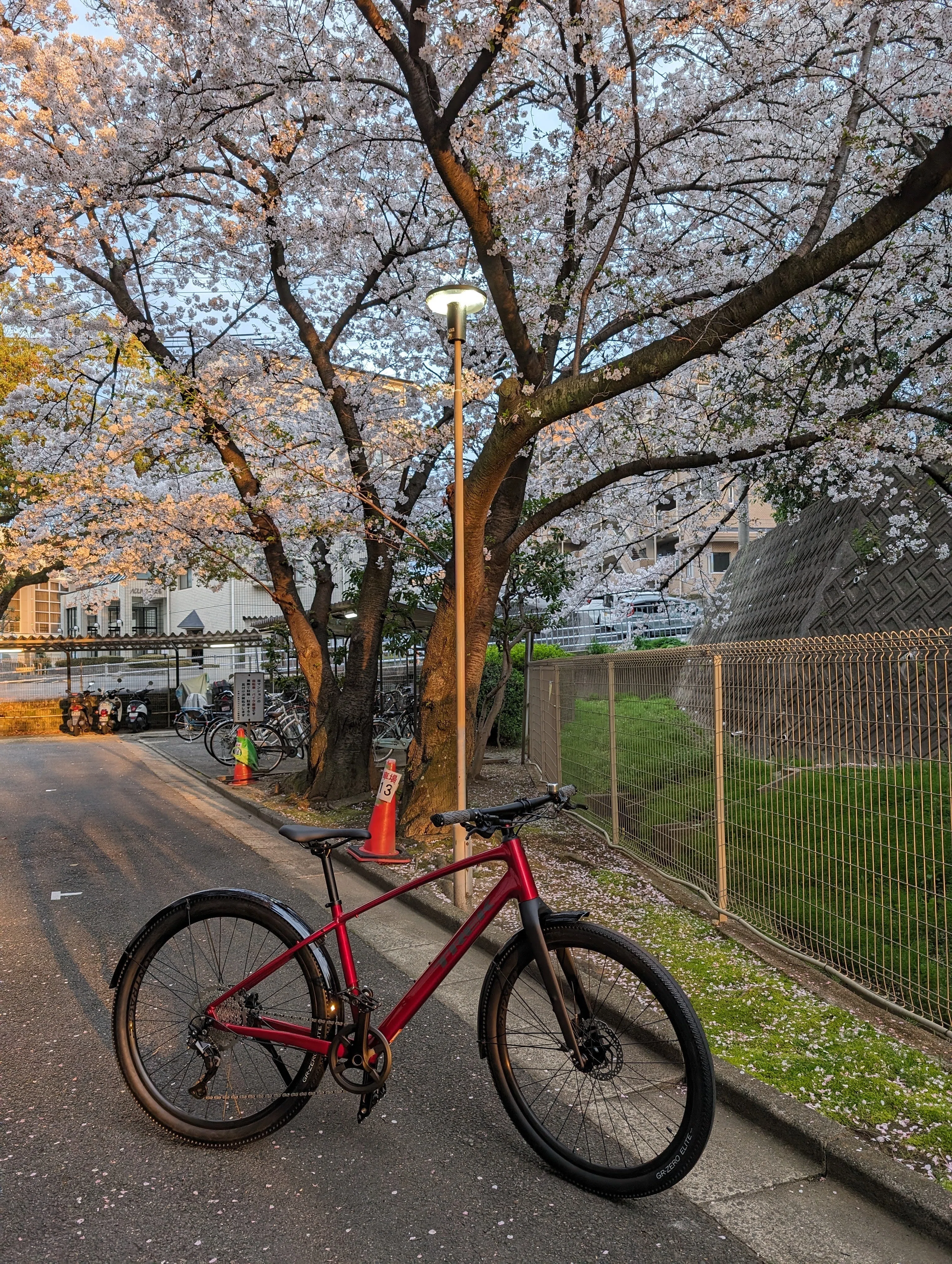 私と愛車の物語 その28 TREK DUAL SPORT3 GEN5｜アンジー