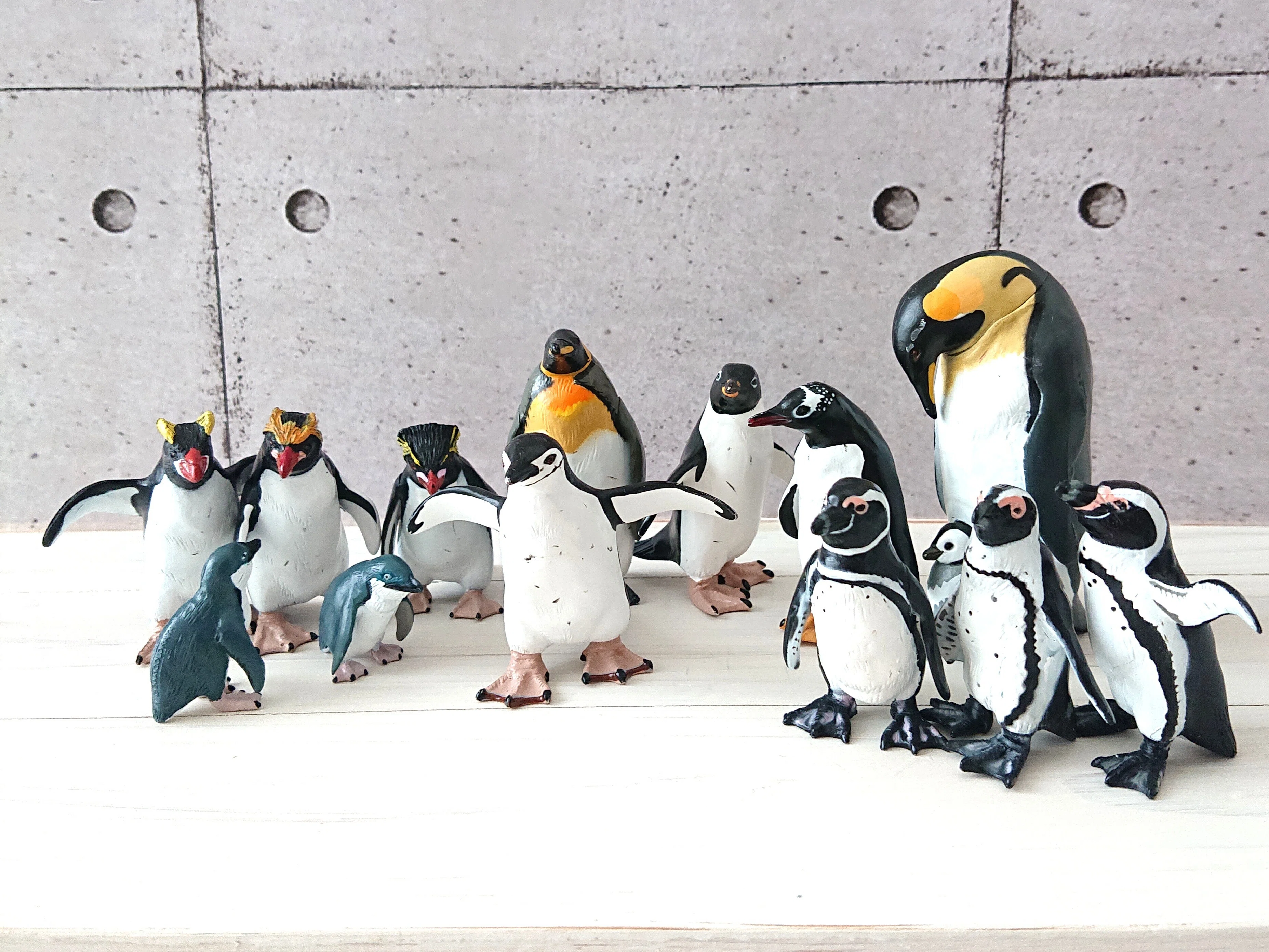 あみぐるみでペン活🐧フンボルトな仲間たち｜まいぱんだ