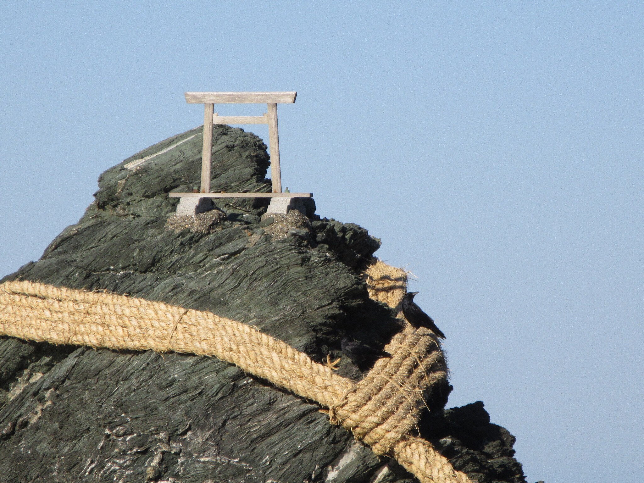 あえてこのタイミングでカメラの設定の話をする【F値,SS,ISO